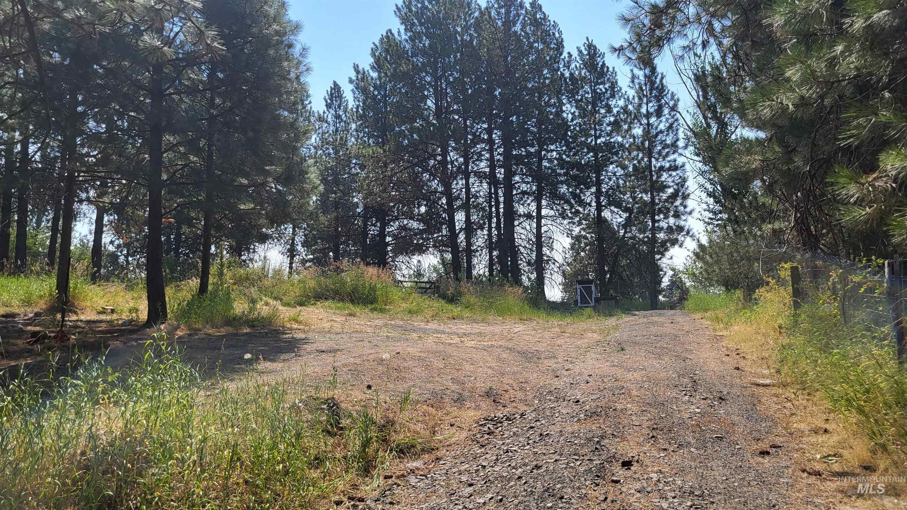 334 Big Meadow Road, Troy, Idaho 83871, 3 Bedrooms, 2 Bathrooms, Residential For Sale, Price $544,000,MLS 98994895