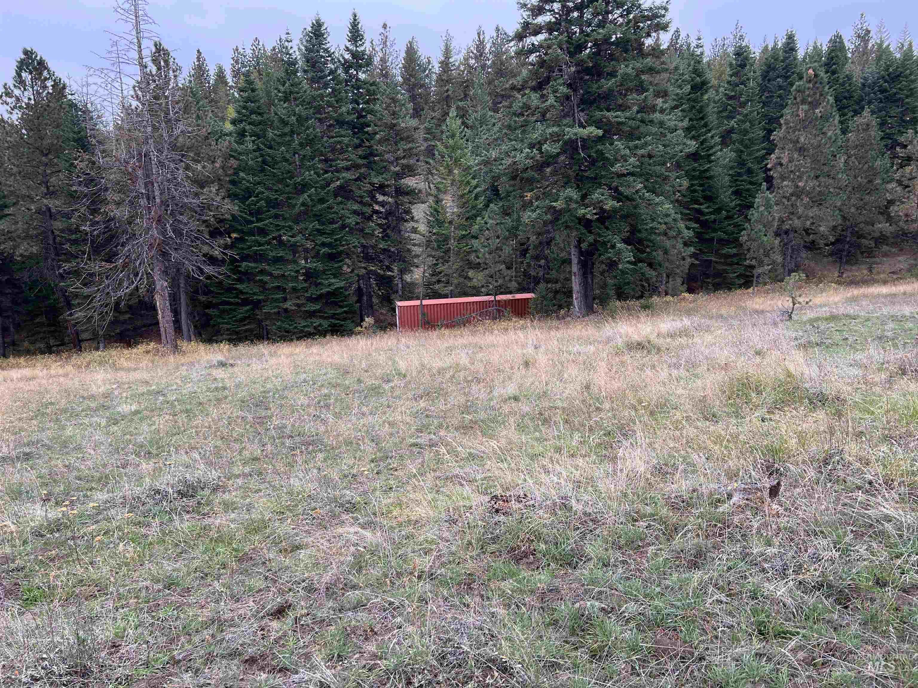 NNA Lots 23 and 24 Cloverland Estates, Asotin, Washington 99402, Land For Sale, Price $249,000, 98994906