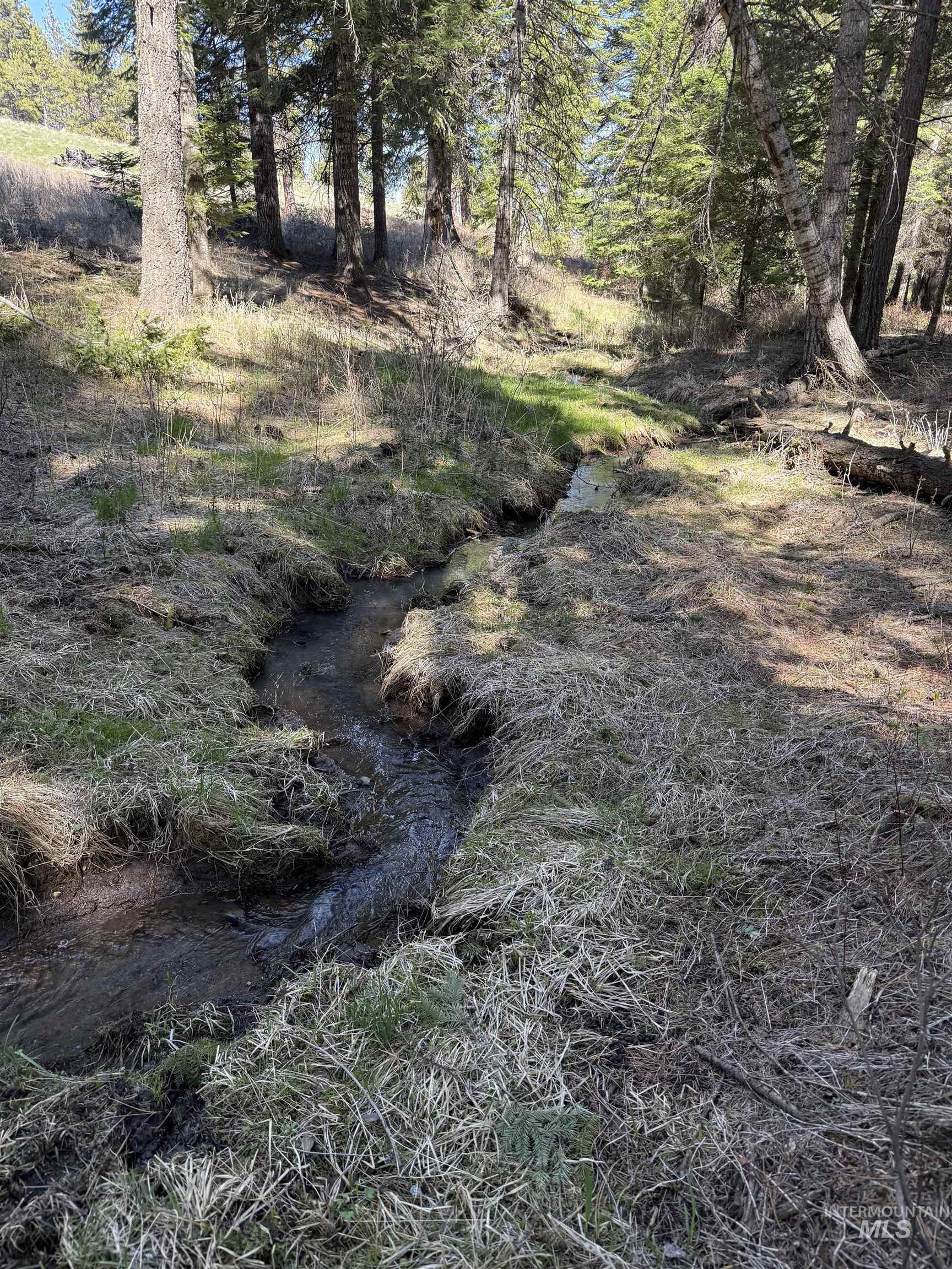 NNA Lots 23 and 24 Cloverland Estates, Asotin, Washington 99402, Land For Sale, Price $249,000, 98994906