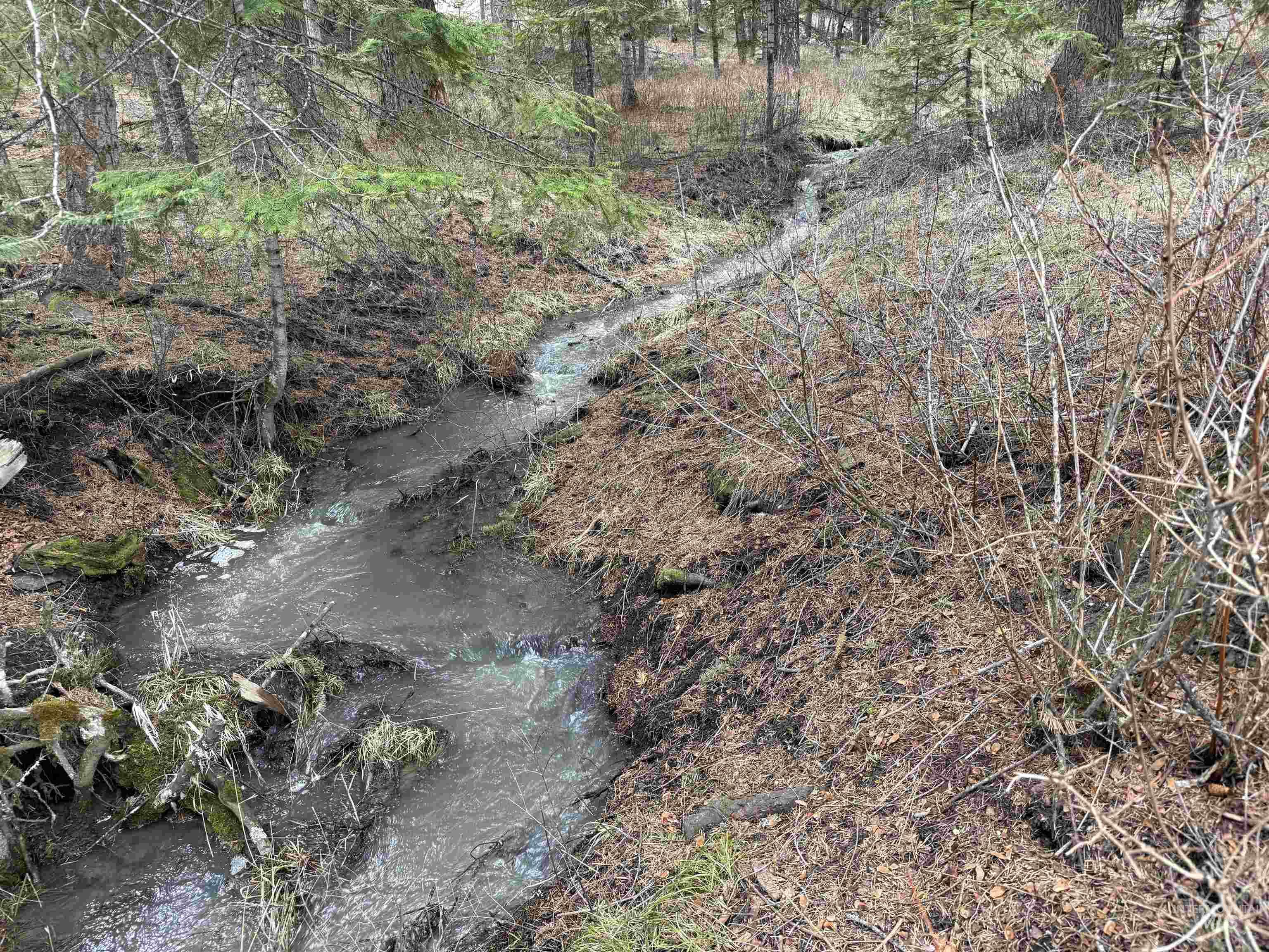 NNA Lots 23 and 24 Cloverland Estates, Asotin, Washington 99402, Land For Sale, Price $249,000, 98994906