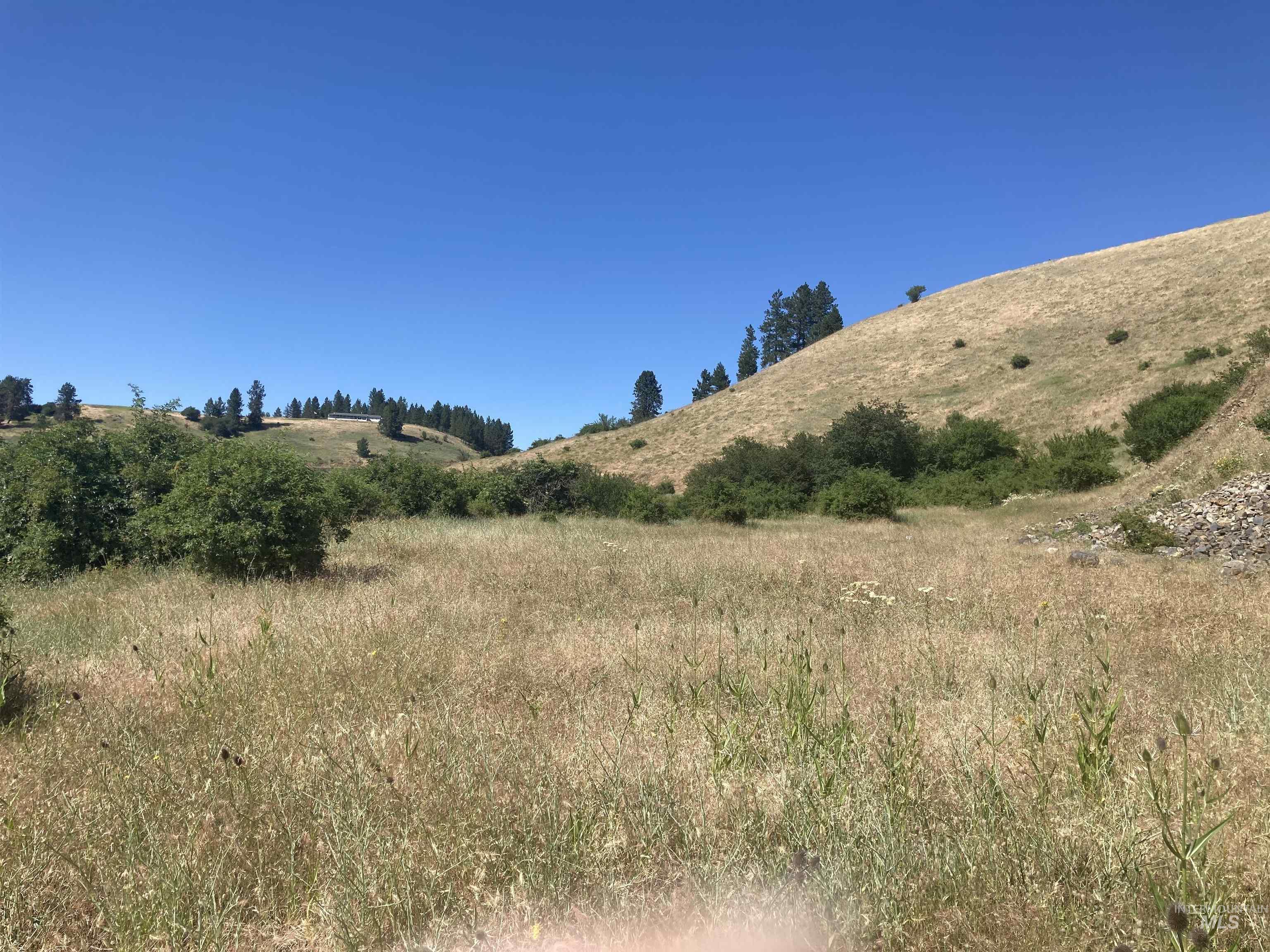 608 Kidder Ridge Road, Kooskia, Idaho 83539, Land For Sale, Price $210,000, 98994943