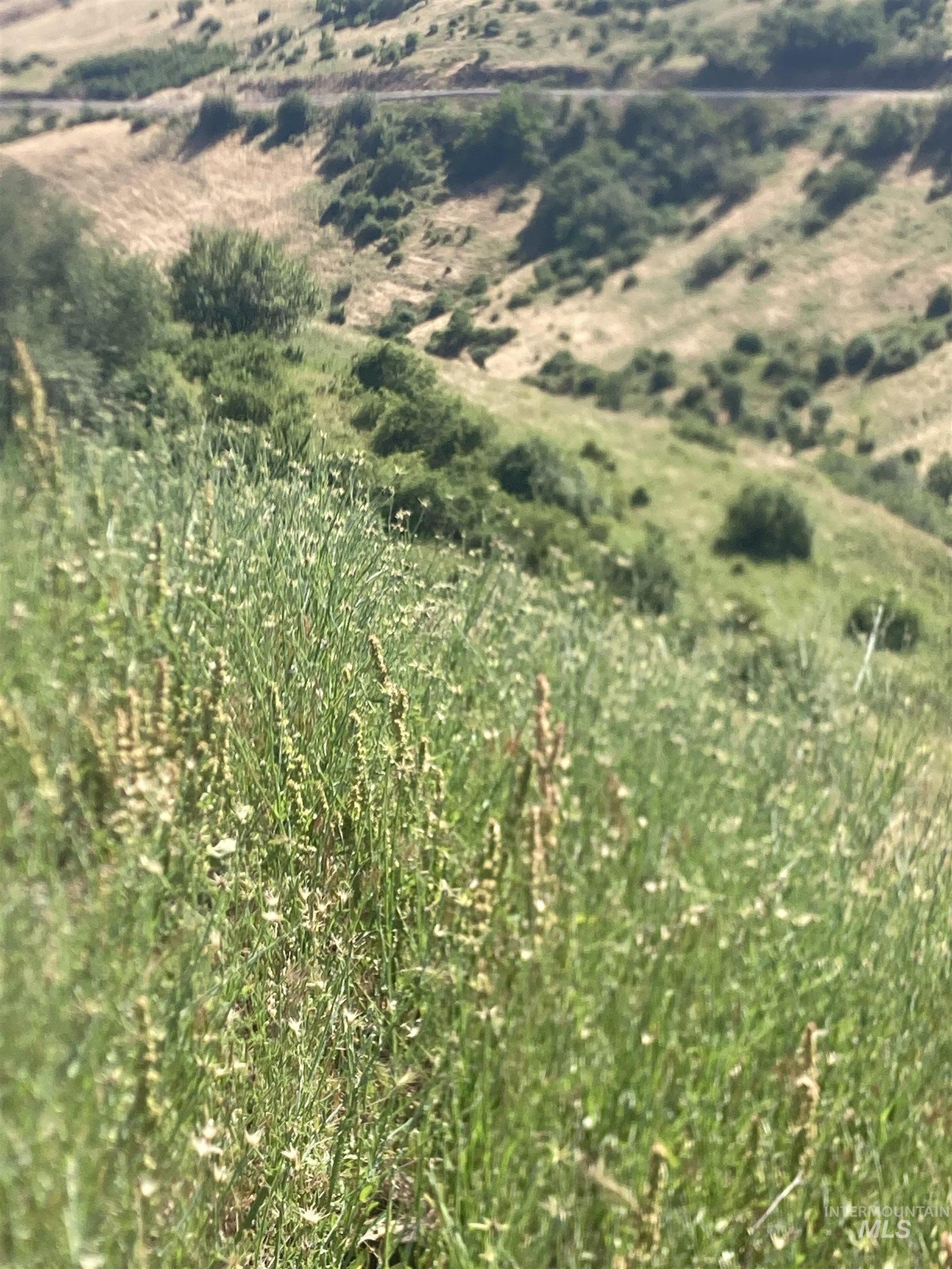 608 Kidder Ridge Road, Kooskia, Idaho 83539, Land For Sale, Price $210,000, 98994943