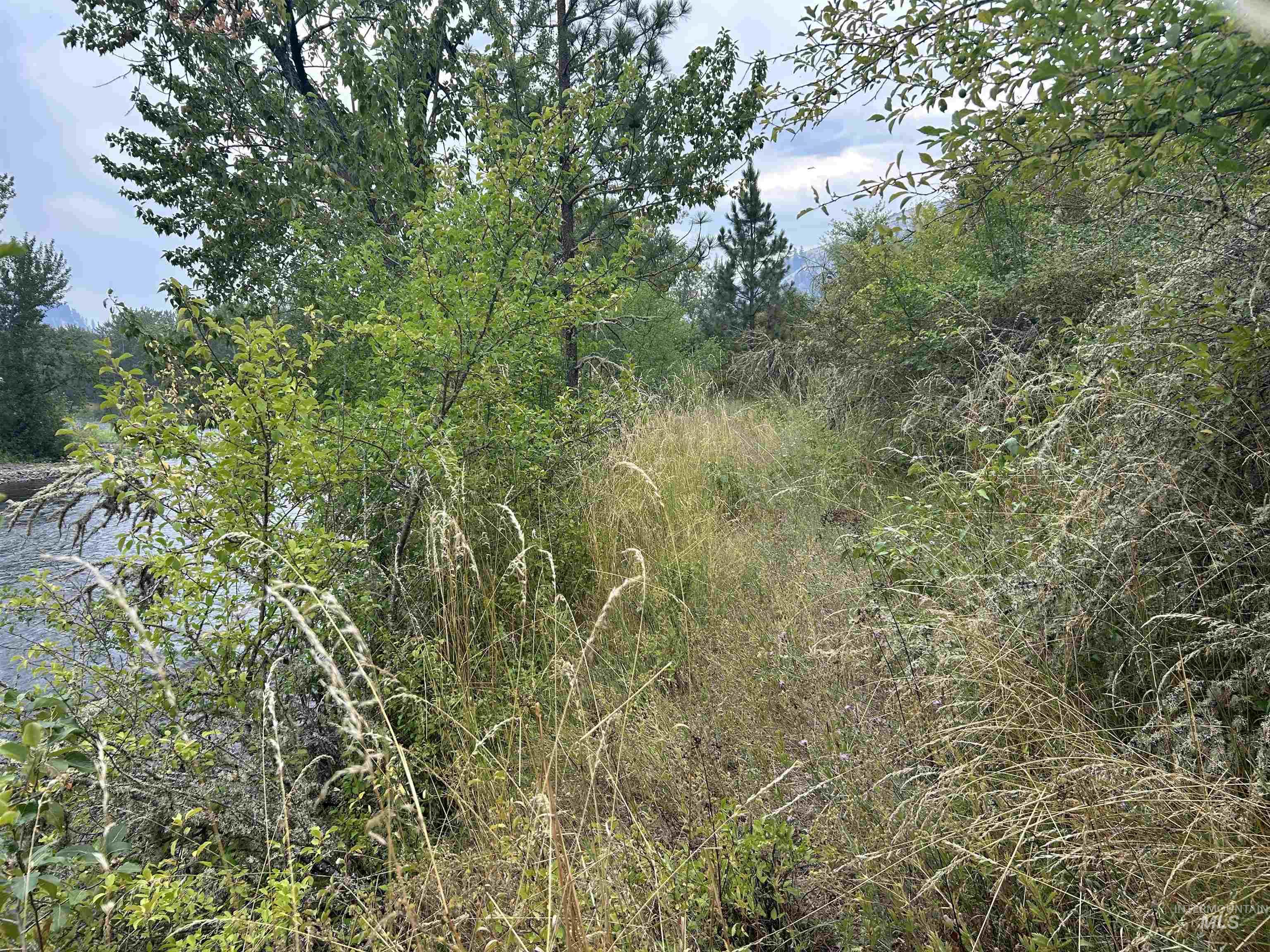 TBD Lukes Gulch Road, Stites, Idaho 83552, Land For Sale, Price $262,000, 98994951