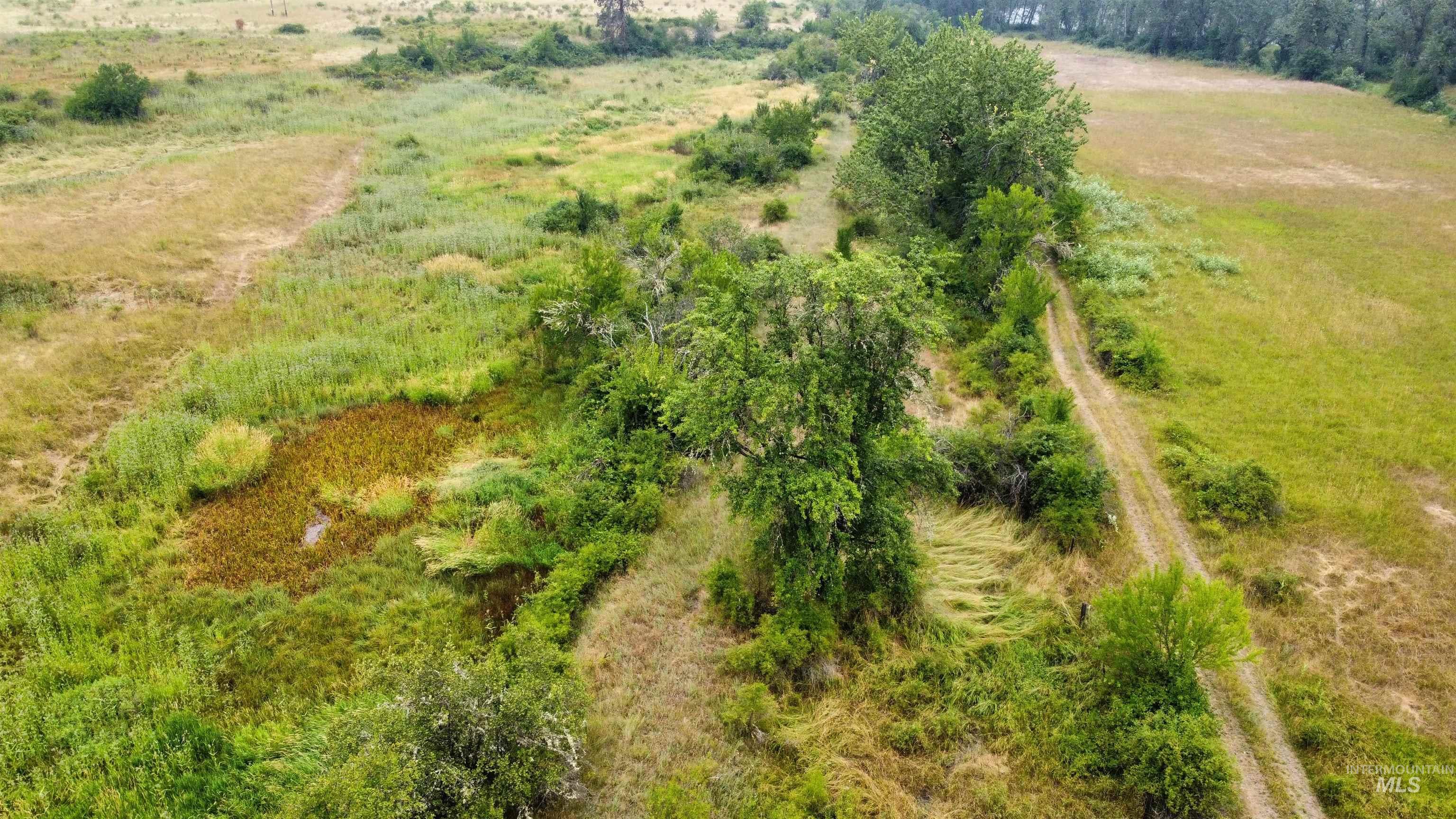 TBD Lukes Gulch Road, Stites, Idaho 83552, Land For Sale, Price $262,000, 98994951