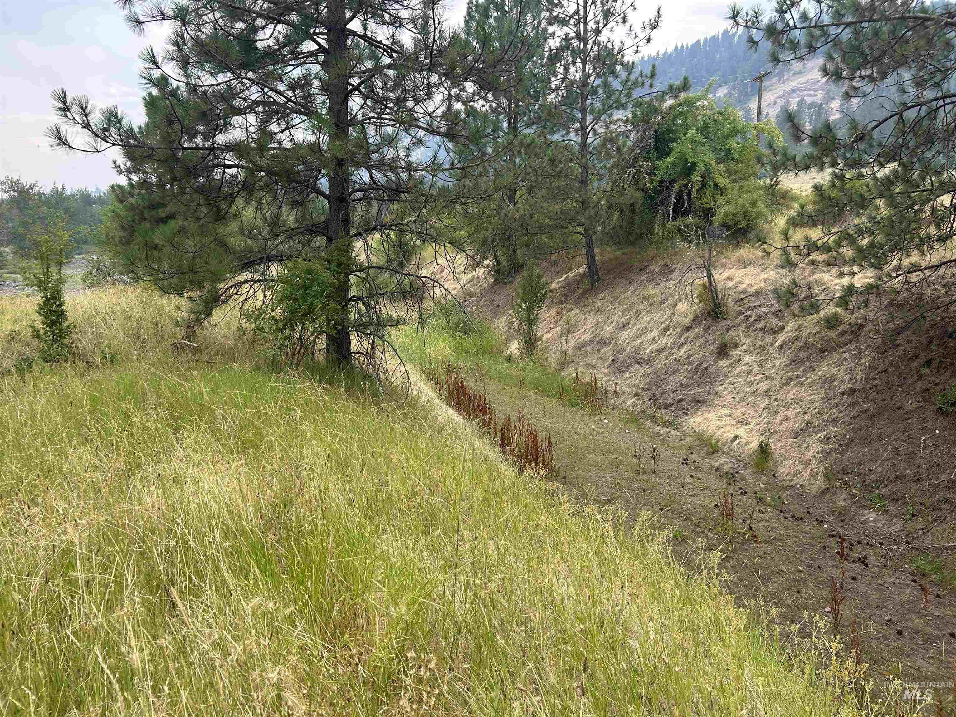 TBD Lukes Gulch Road, Stites, Idaho 83552, Land For Sale, Price $262,000, 98994951