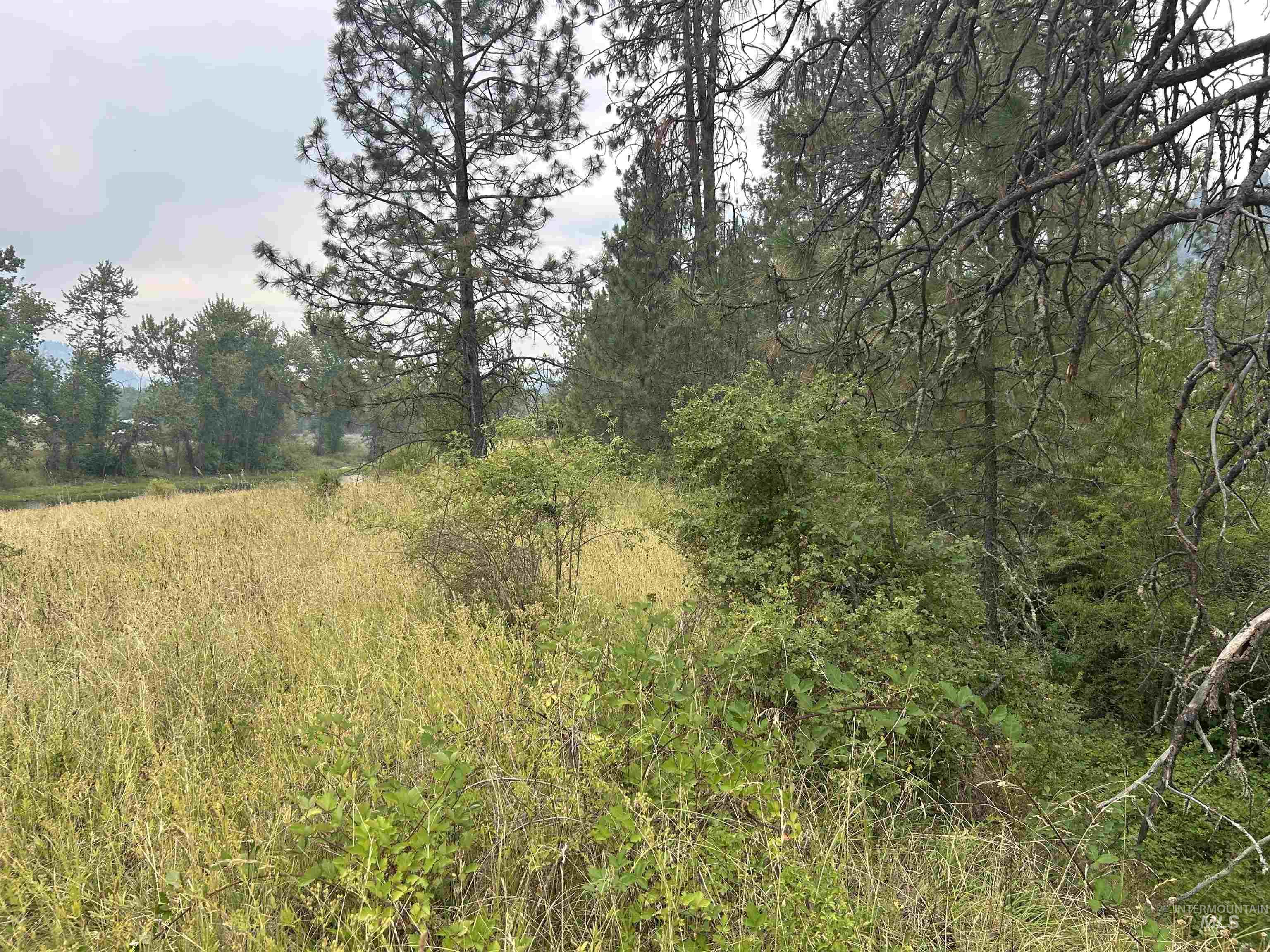 TBD Lukes Gulch Road, Stites, Idaho 83552, Land For Sale, Price $262,000, 98994951