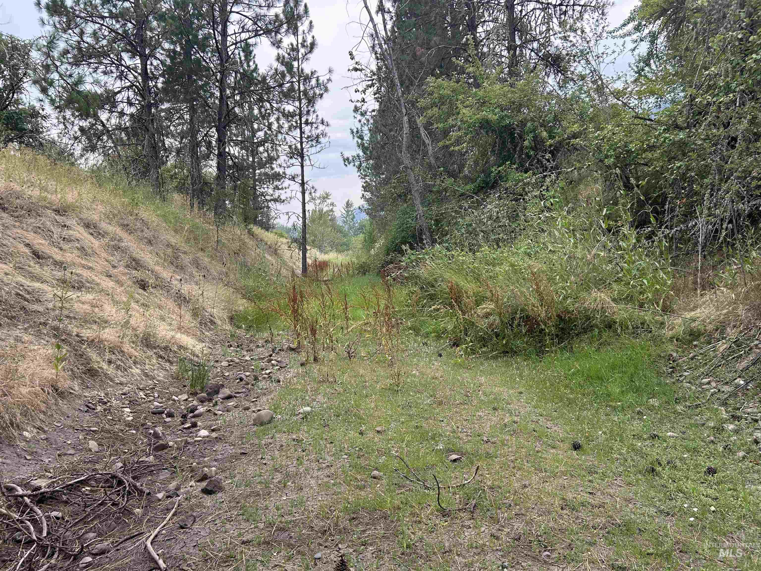 TBD Lukes Gulch Road, Stites, Idaho 83552, Land For Sale, Price $262,000, 98994951