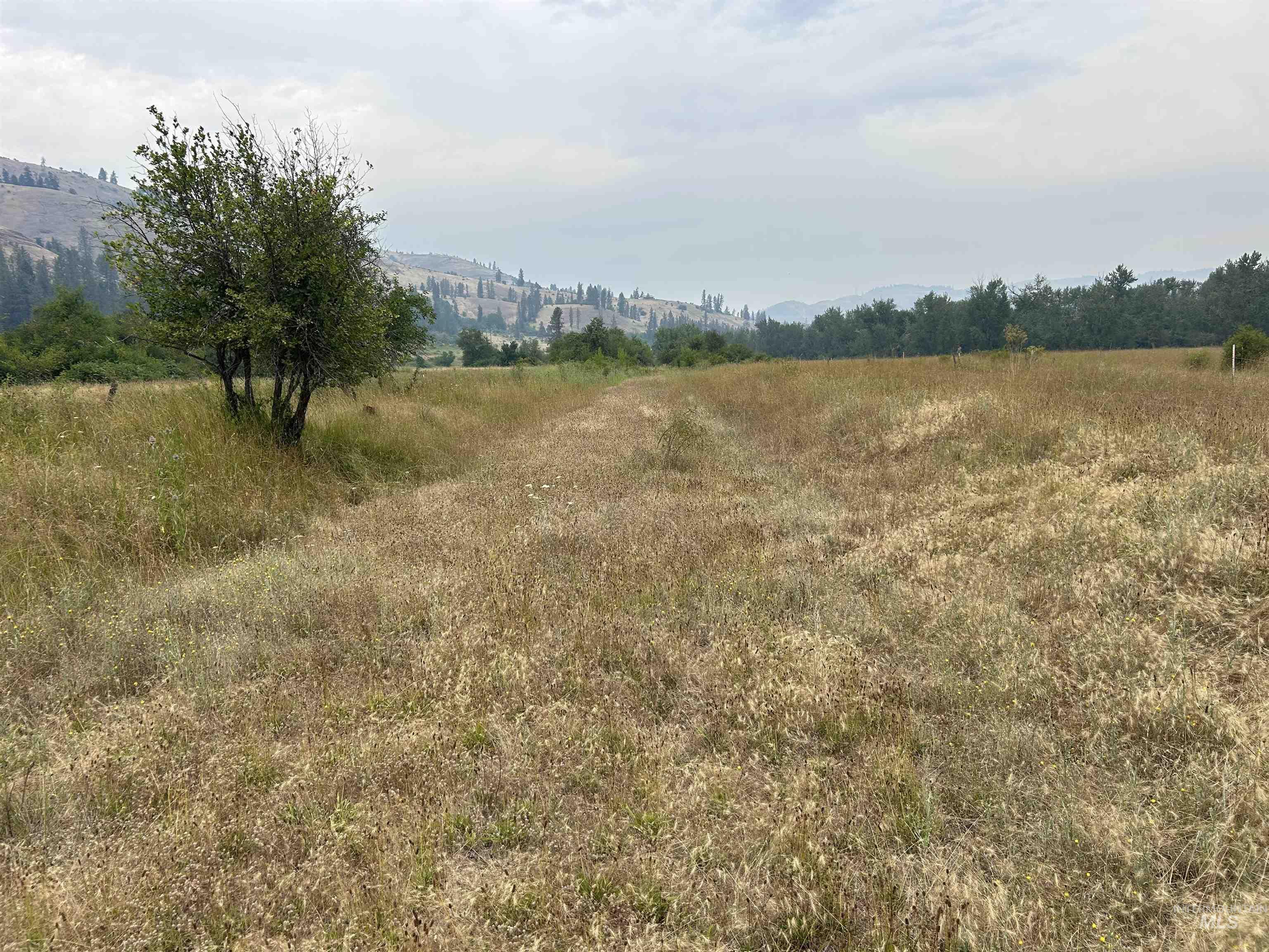 TBD Lukes Gulch Road, Stites, Idaho 83552, Land For Sale, Price $262,000, 98994951