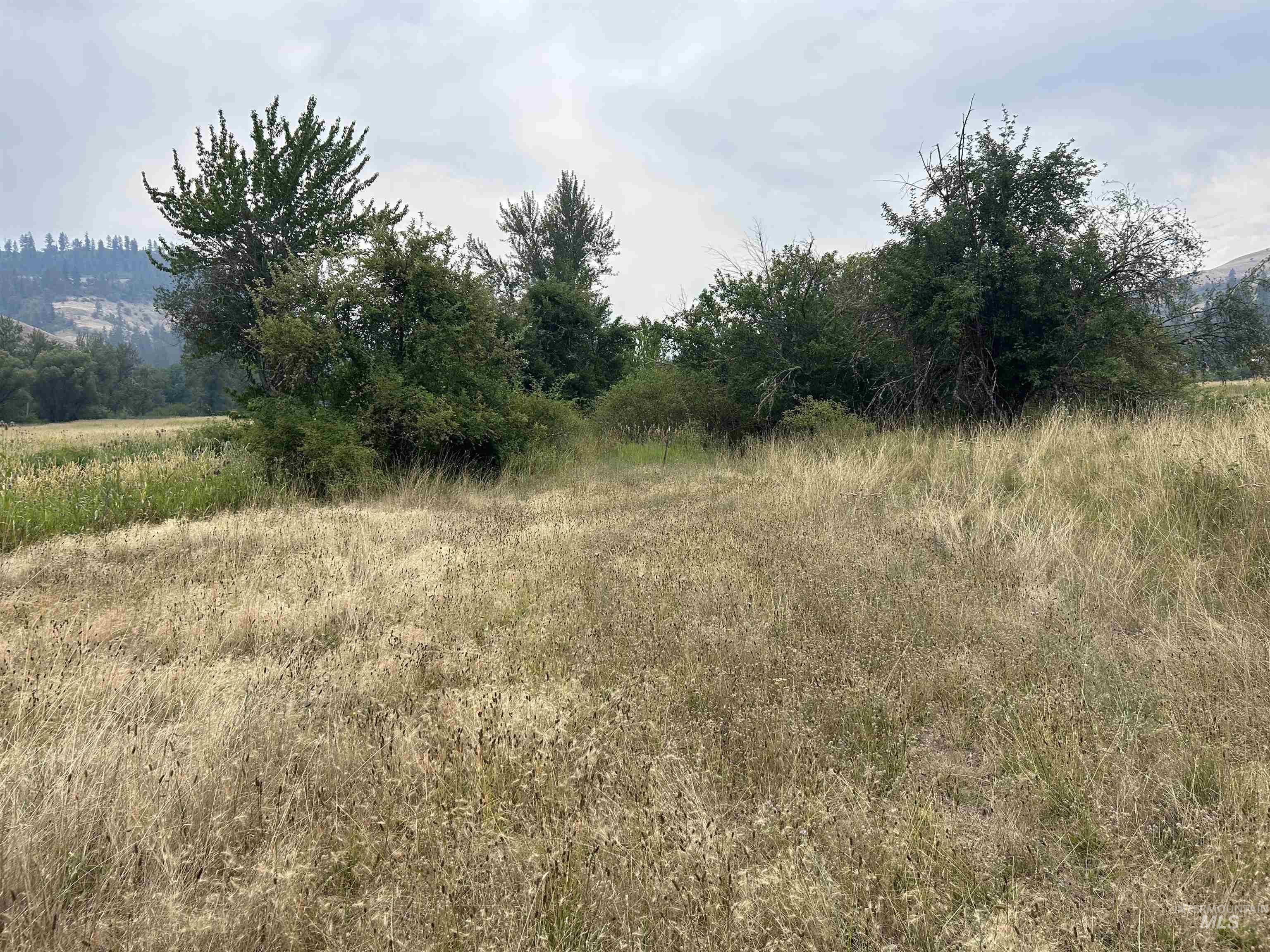 TBD Lukes Gulch Road, Stites, Idaho 83552, Land For Sale, Price $262,000, 98994951