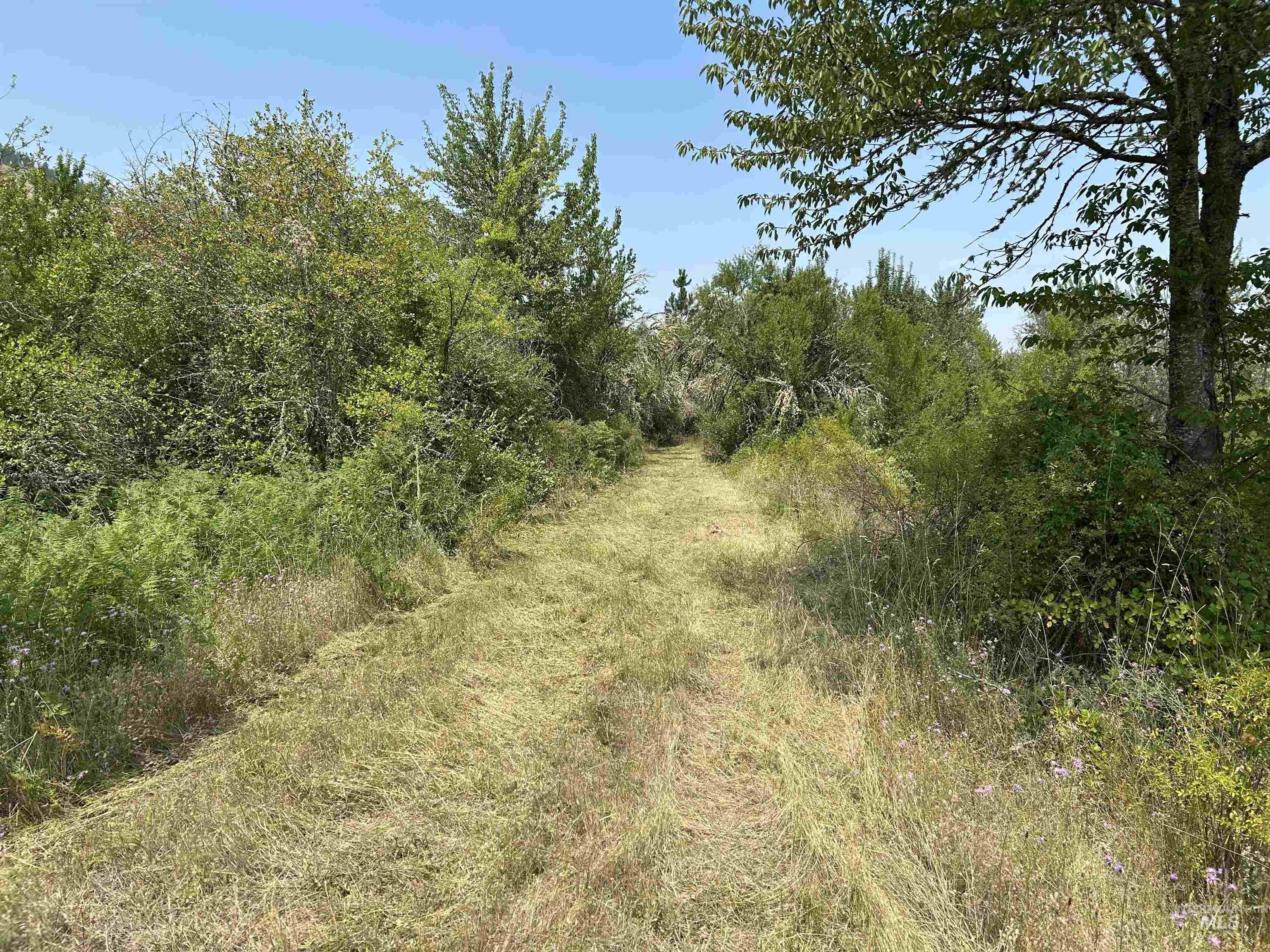 TBD Lukes Gulch Road, Stites, Idaho 83552, Land For Sale, Price $262,000, 98994951