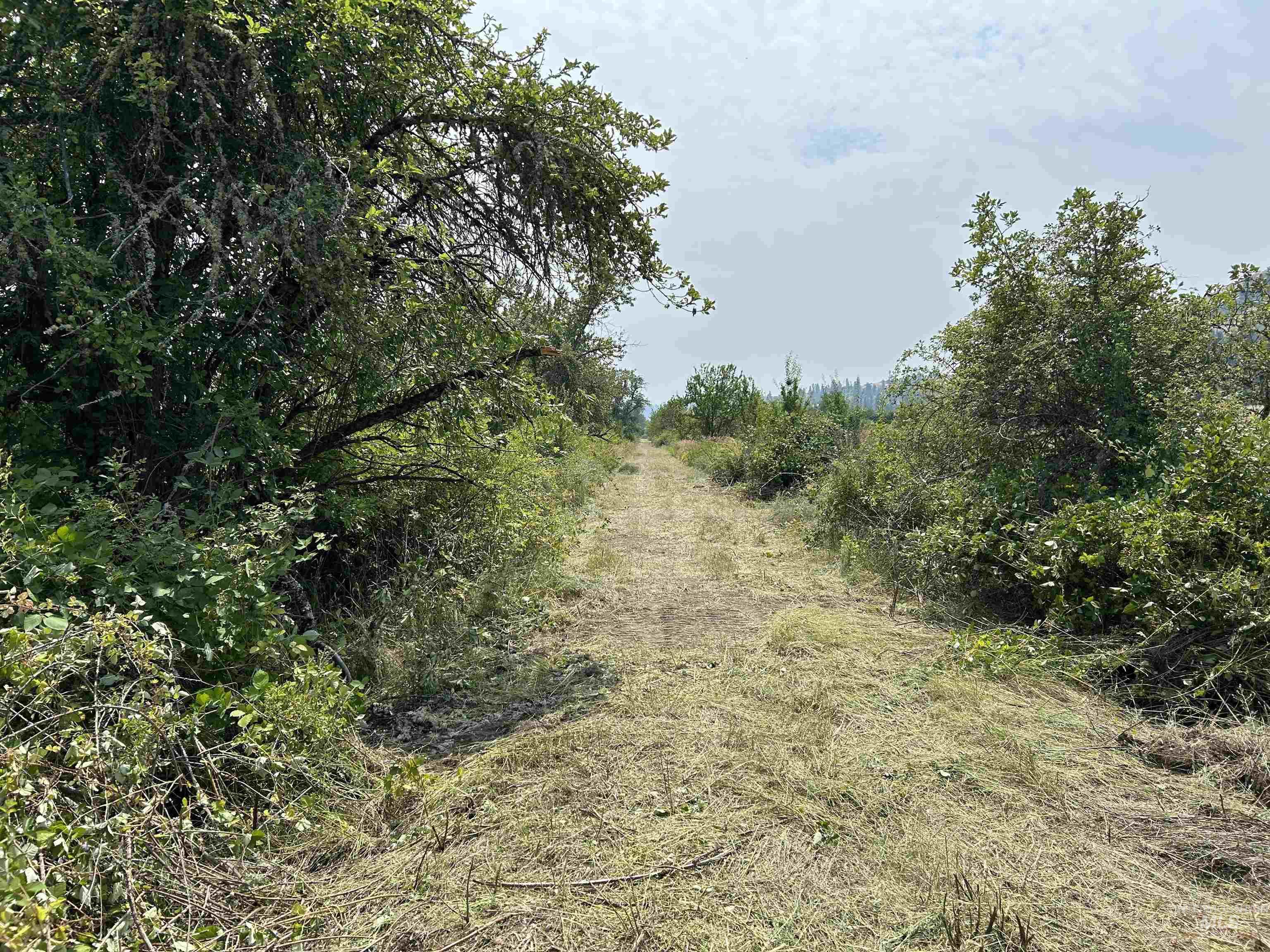 TBD Lukes Gulch Road, Stites, Idaho 83552, Land For Sale, Price $262,000, 98994951