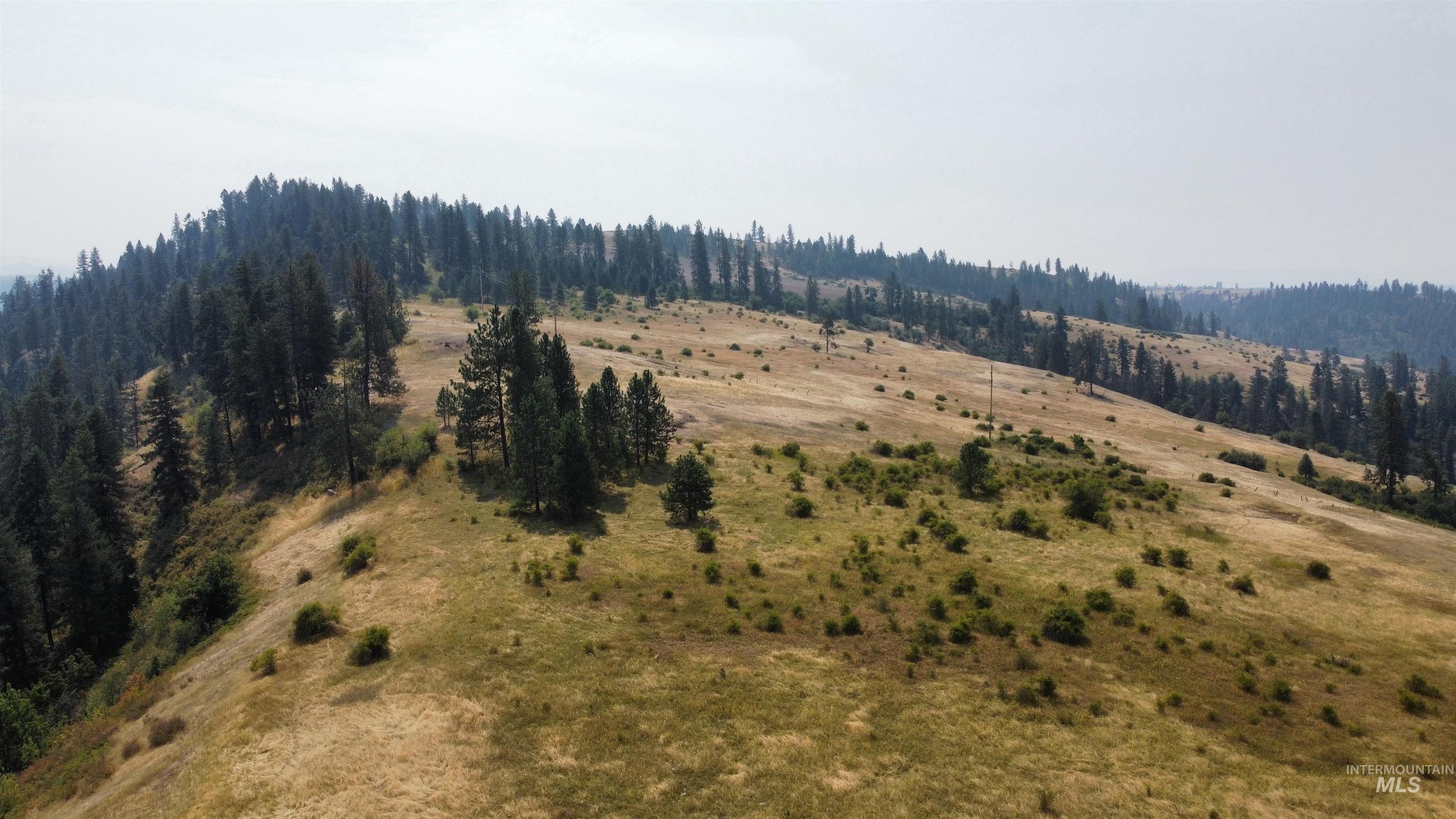 TBD Hwy 13, Kooskia, Idaho 83539, Farm & Ranch For Sale, Price $645,000,MLS 98994952