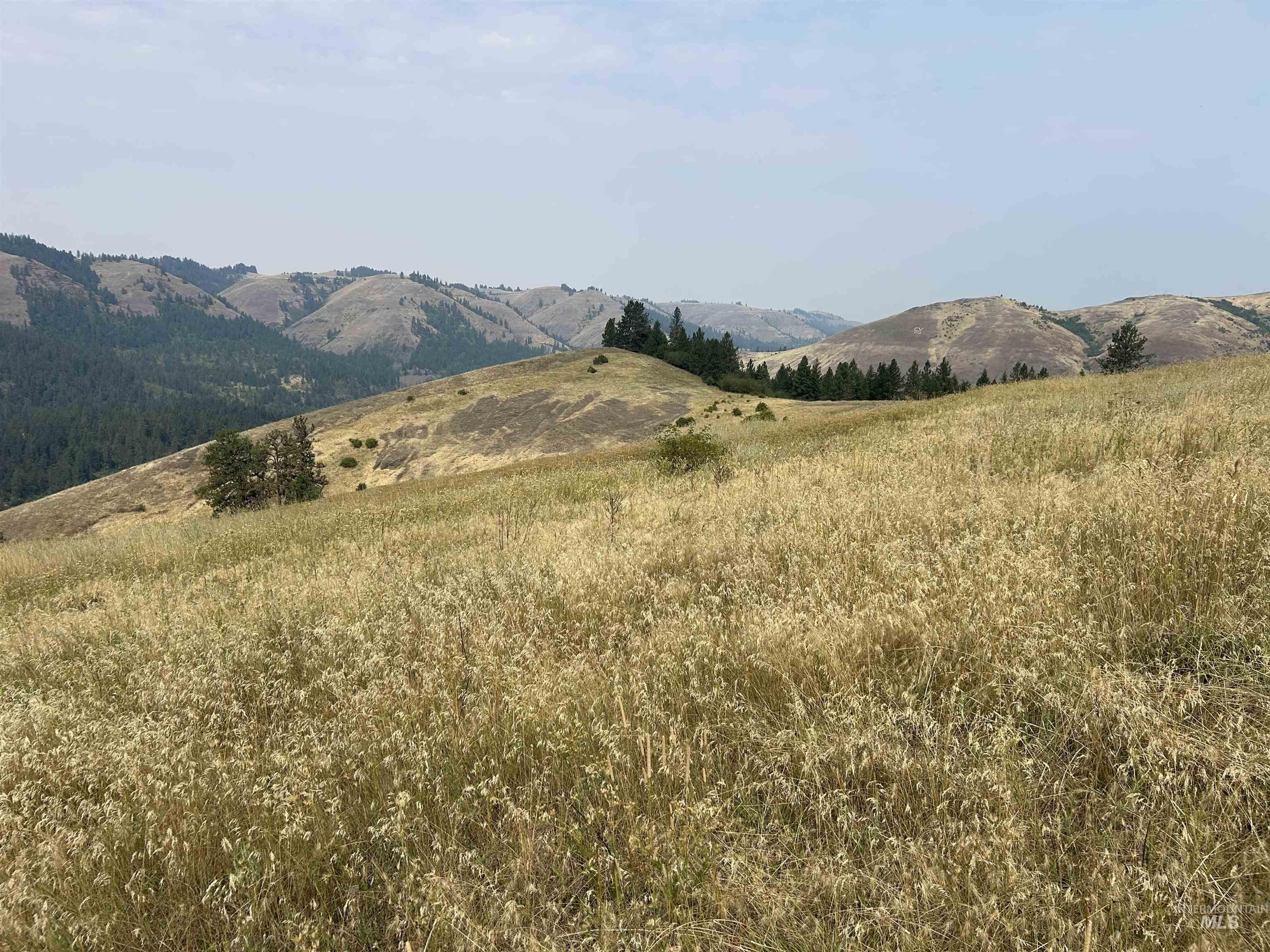 TBD Hwy 13, Kooskia, Idaho 83539, Farm & Ranch For Sale, Price $645,000,MLS 98994952
