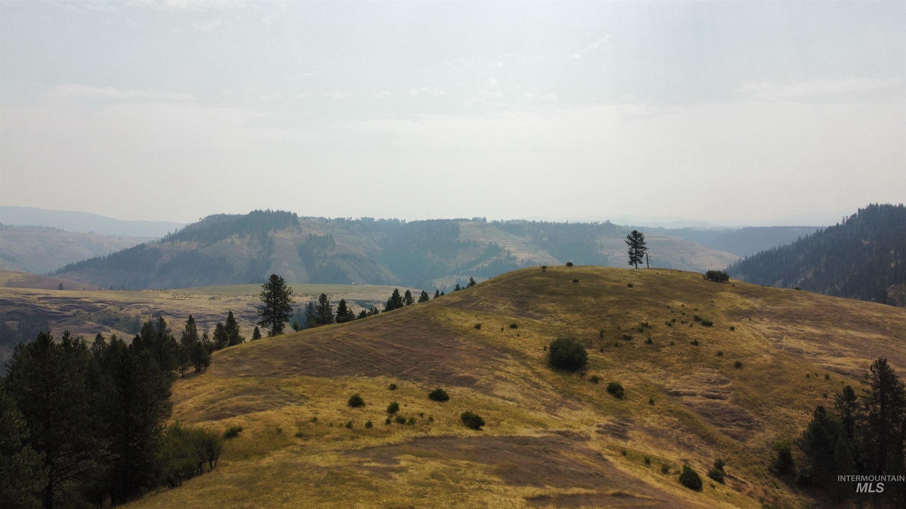 TBD Hwy 13, Kooskia, Idaho 83539, Farm & Ranch For Sale, Price $645,000,MLS 98994952