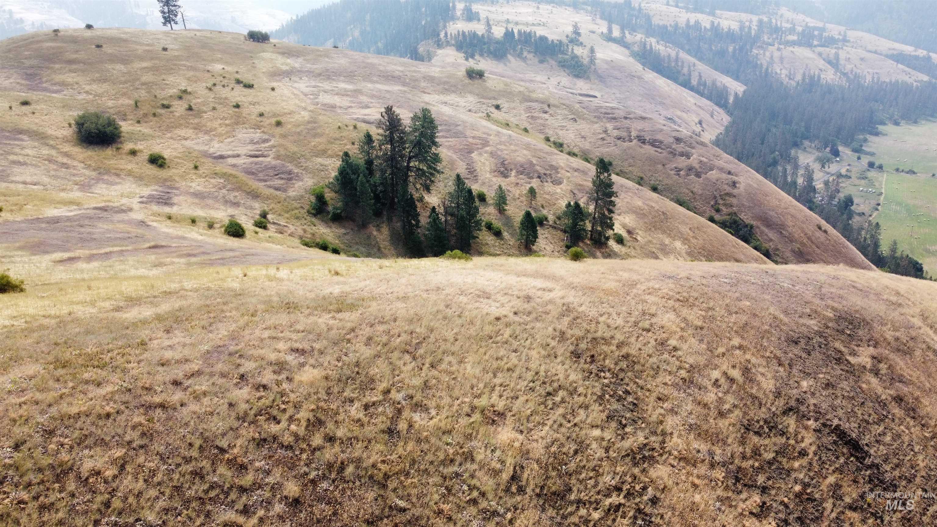 TBD Hwy 13, Kooskia, Idaho 83539, Farm & Ranch For Sale, Price $645,000,MLS 98994952