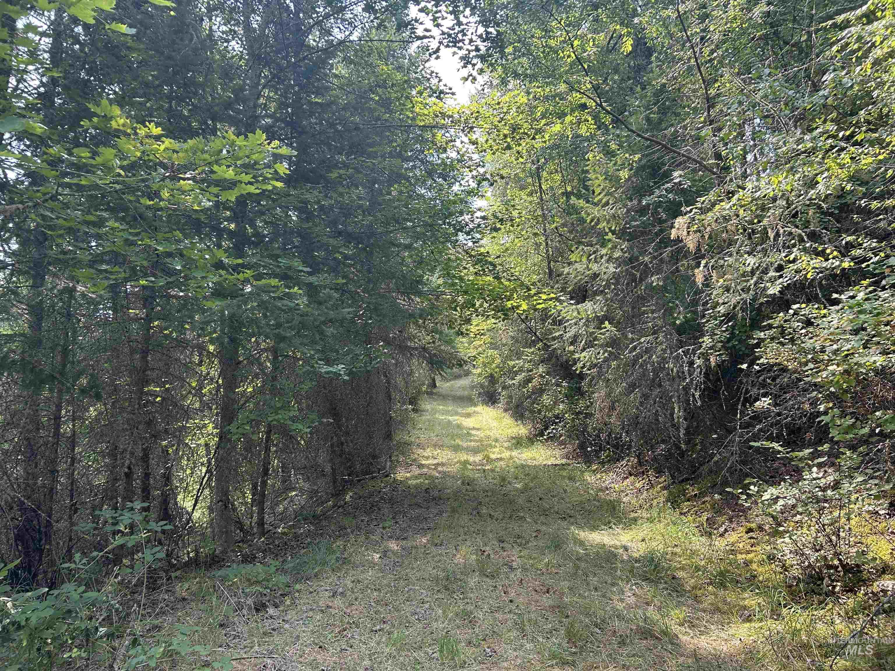 TBD Hwy 13, Kooskia, Idaho 83539, Farm & Ranch For Sale, Price $645,000,MLS 98994952