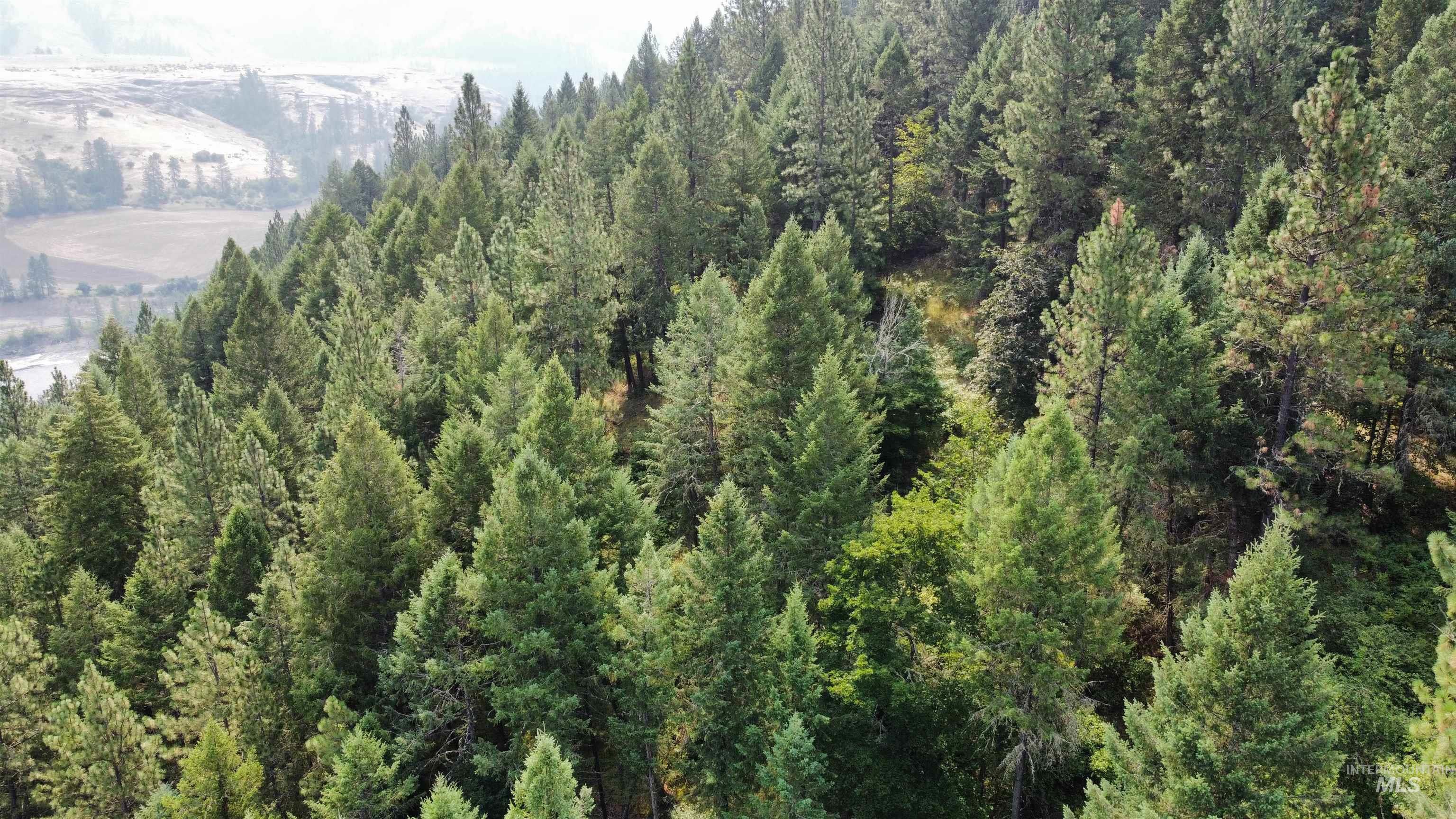 TBD Hwy 13, Kooskia, Idaho 83539, Farm & Ranch For Sale, Price $645,000,MLS 98994952