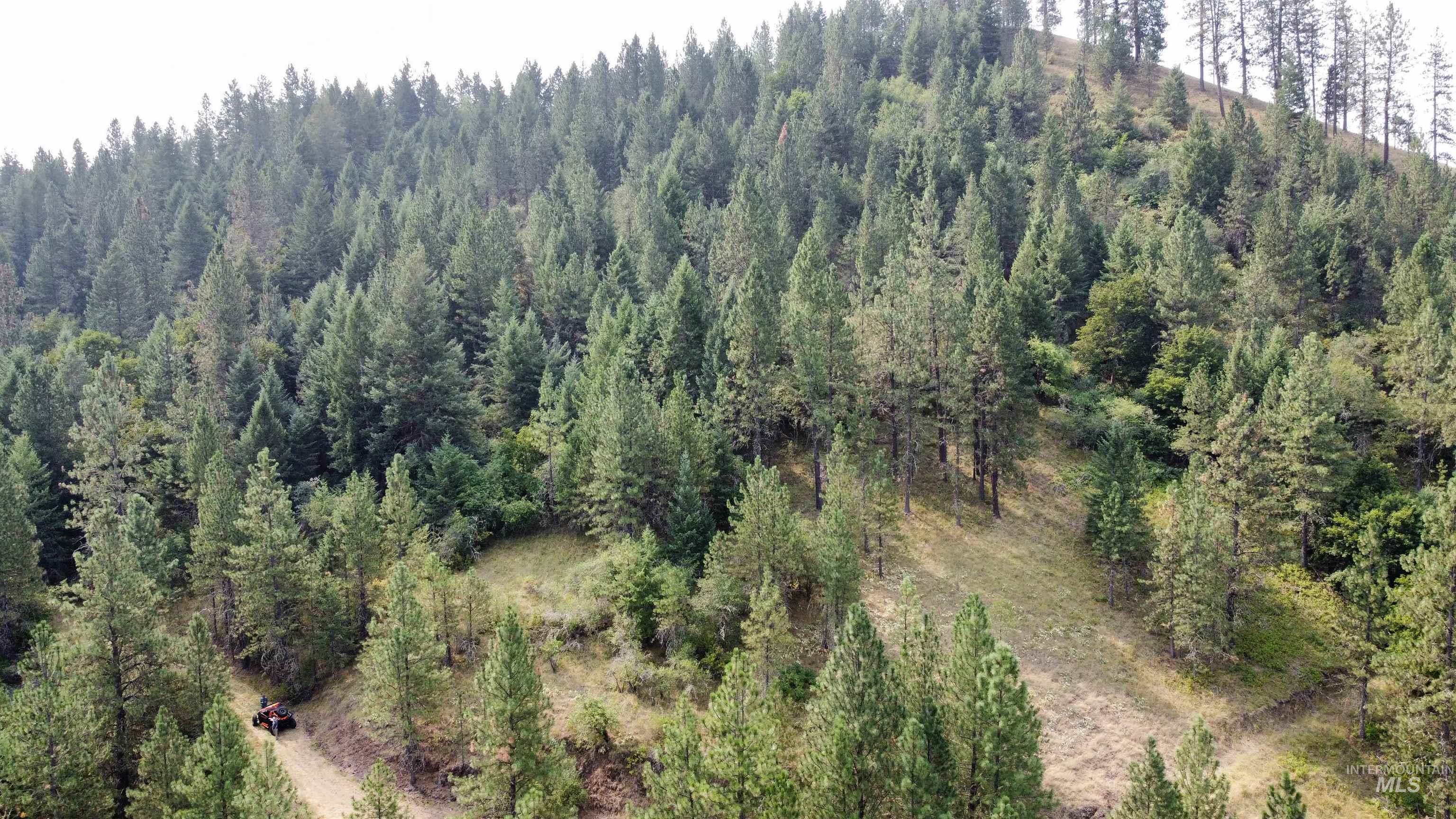 TBD Hwy 13, Kooskia, Idaho 83539, Farm & Ranch For Sale, Price $645,000,MLS 98994952