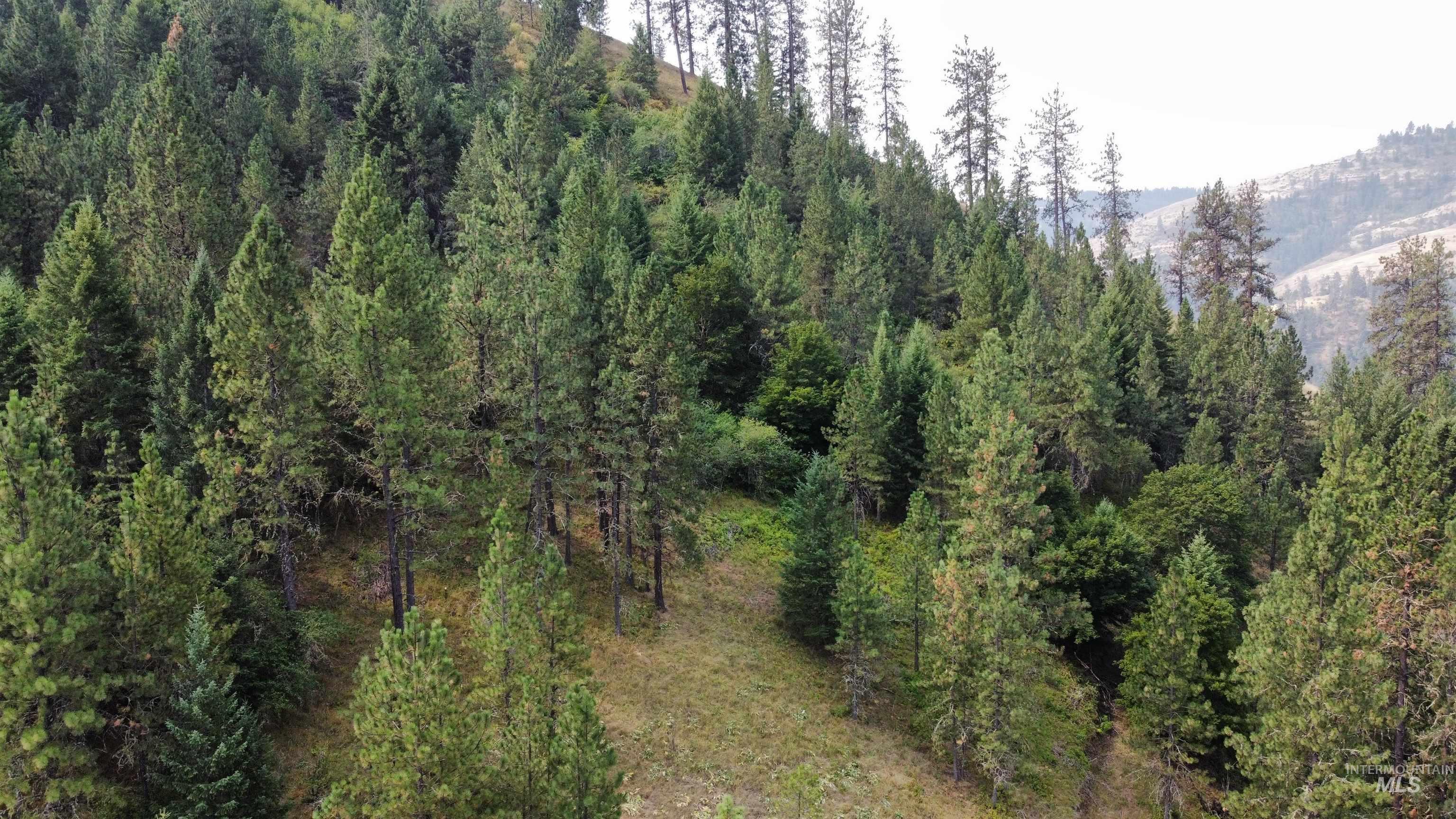 TBD Hwy 13, Kooskia, Idaho 83539, Farm & Ranch For Sale, Price $645,000,MLS 98994952