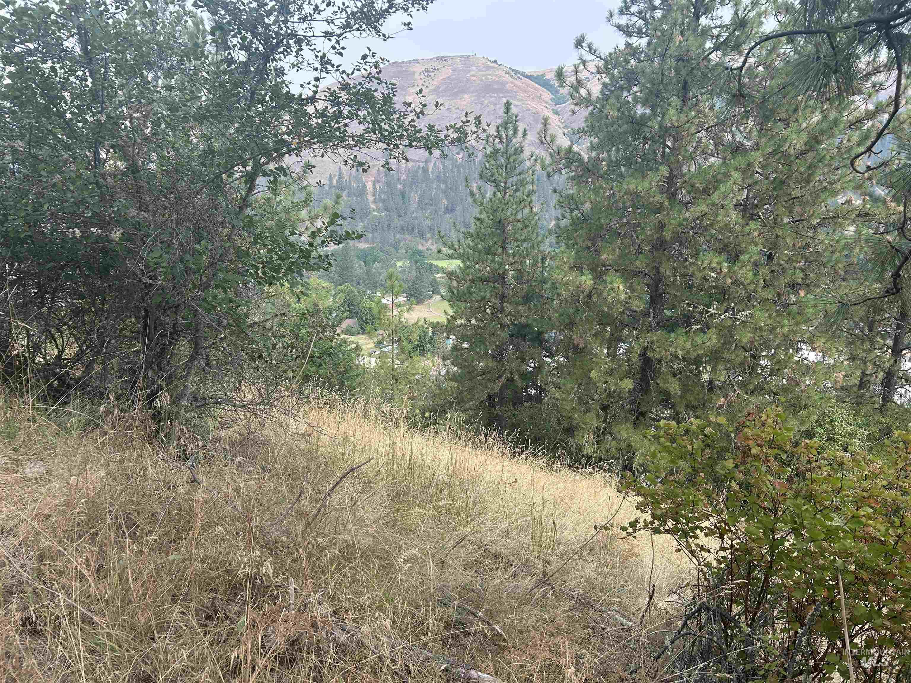 TBD Hwy 13, Kooskia, Idaho 83539, Farm & Ranch For Sale, Price $645,000,MLS 98994952