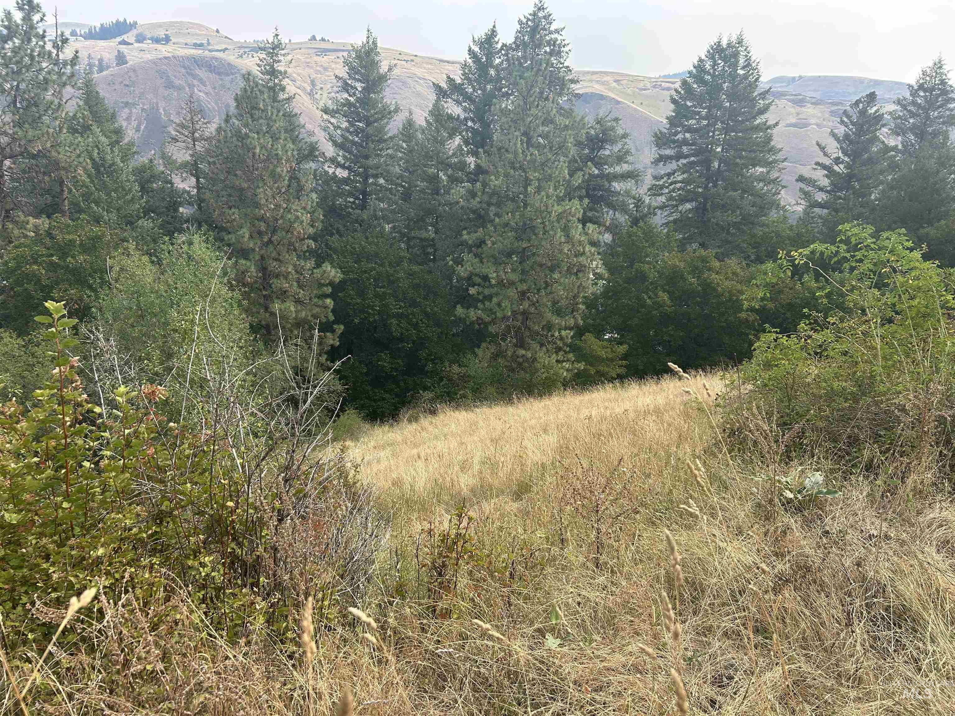 TBD Hwy 13, Kooskia, Idaho 83539, Farm & Ranch For Sale, Price $645,000,MLS 98994952