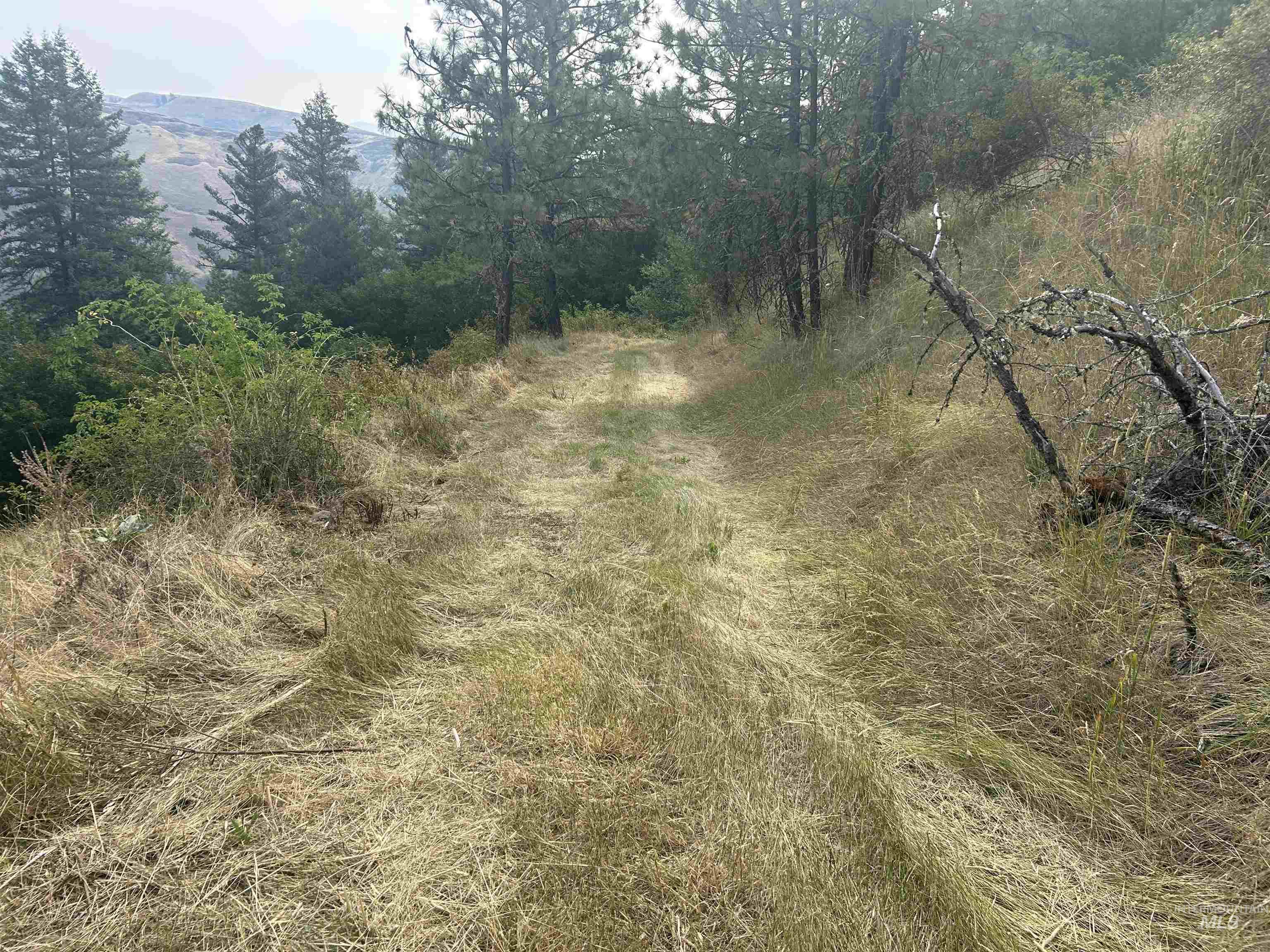 TBD Hwy 13, Kooskia, Idaho 83539, Farm & Ranch For Sale, Price $645,000,MLS 98994952