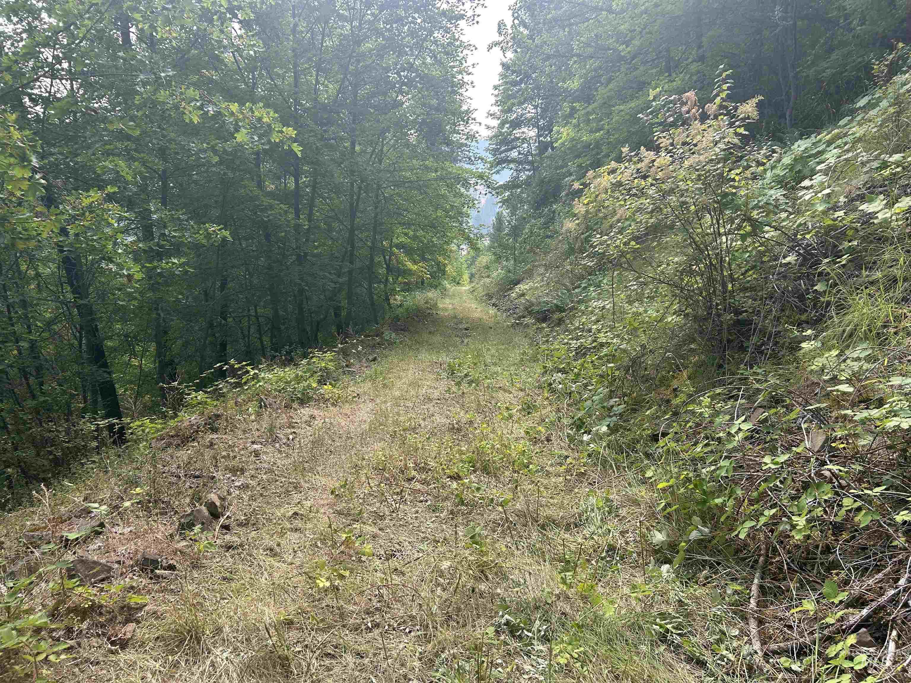 TBD Hwy 13, Kooskia, Idaho 83539, Farm & Ranch For Sale, Price $645,000,MLS 98994952