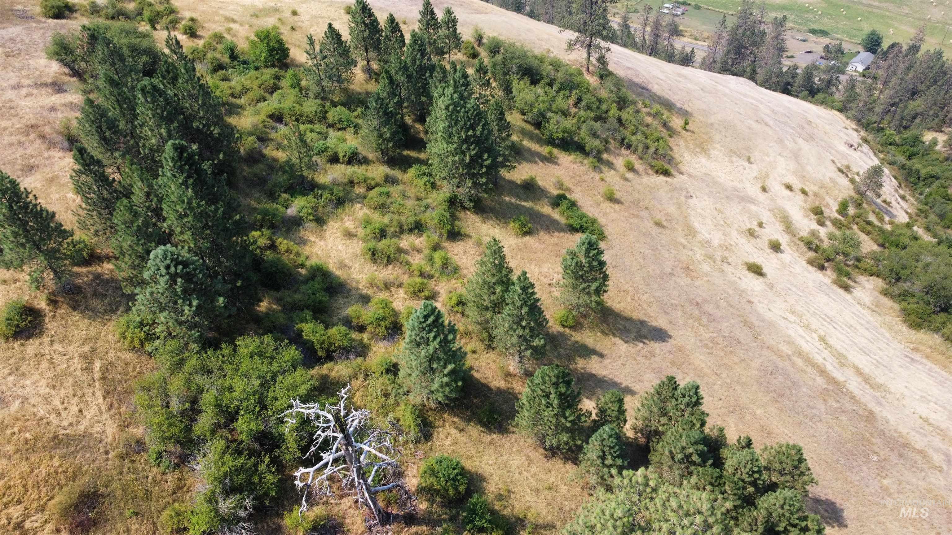 TBD Hwy 13, Kooskia, Idaho 83539, Farm & Ranch For Sale, Price $645,000,MLS 98994952