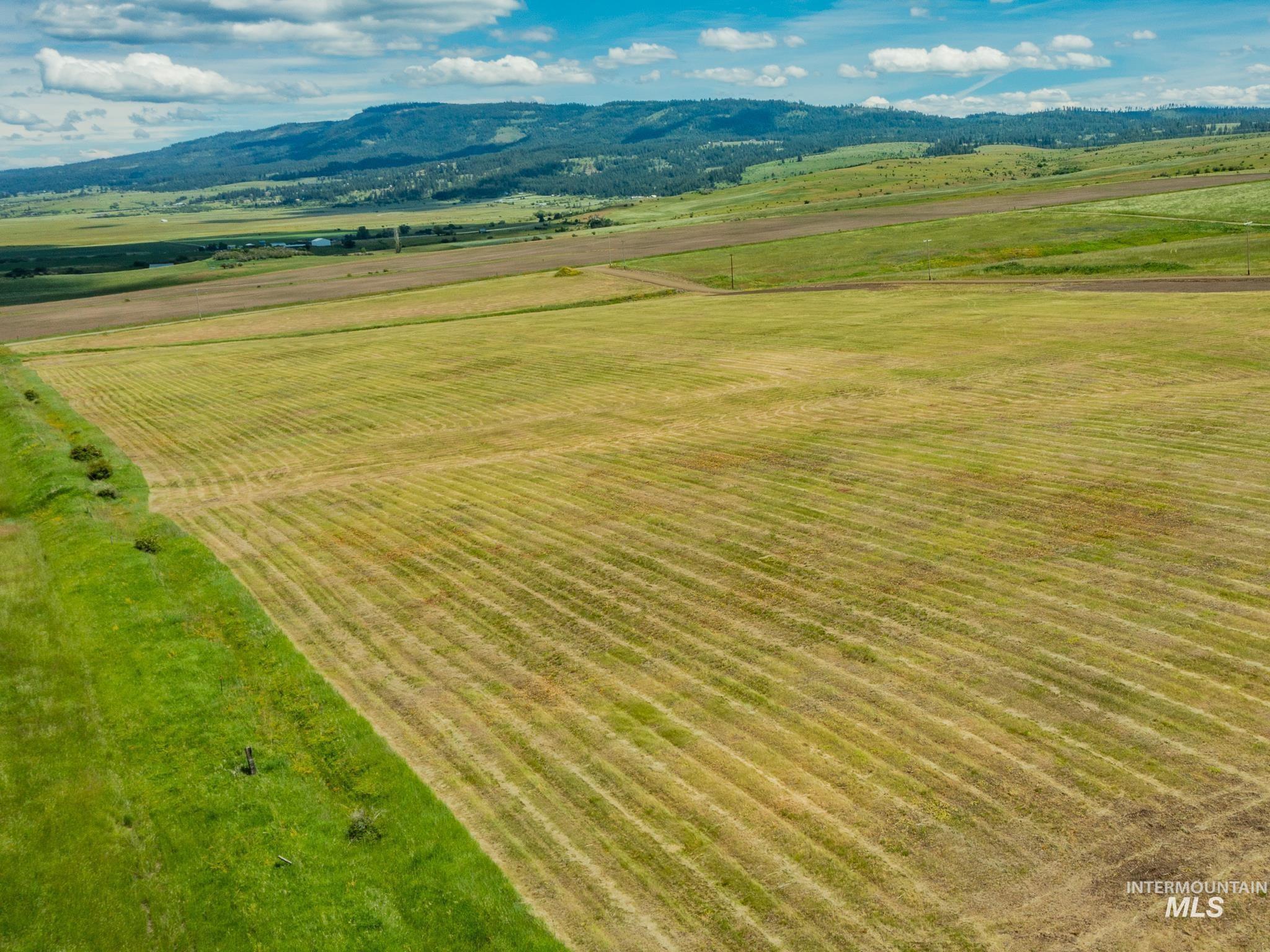 Freebird Way Parcel 5, Grangeville, Idaho 83530, Land For Sale, Price $149,000,MLS 98994972
