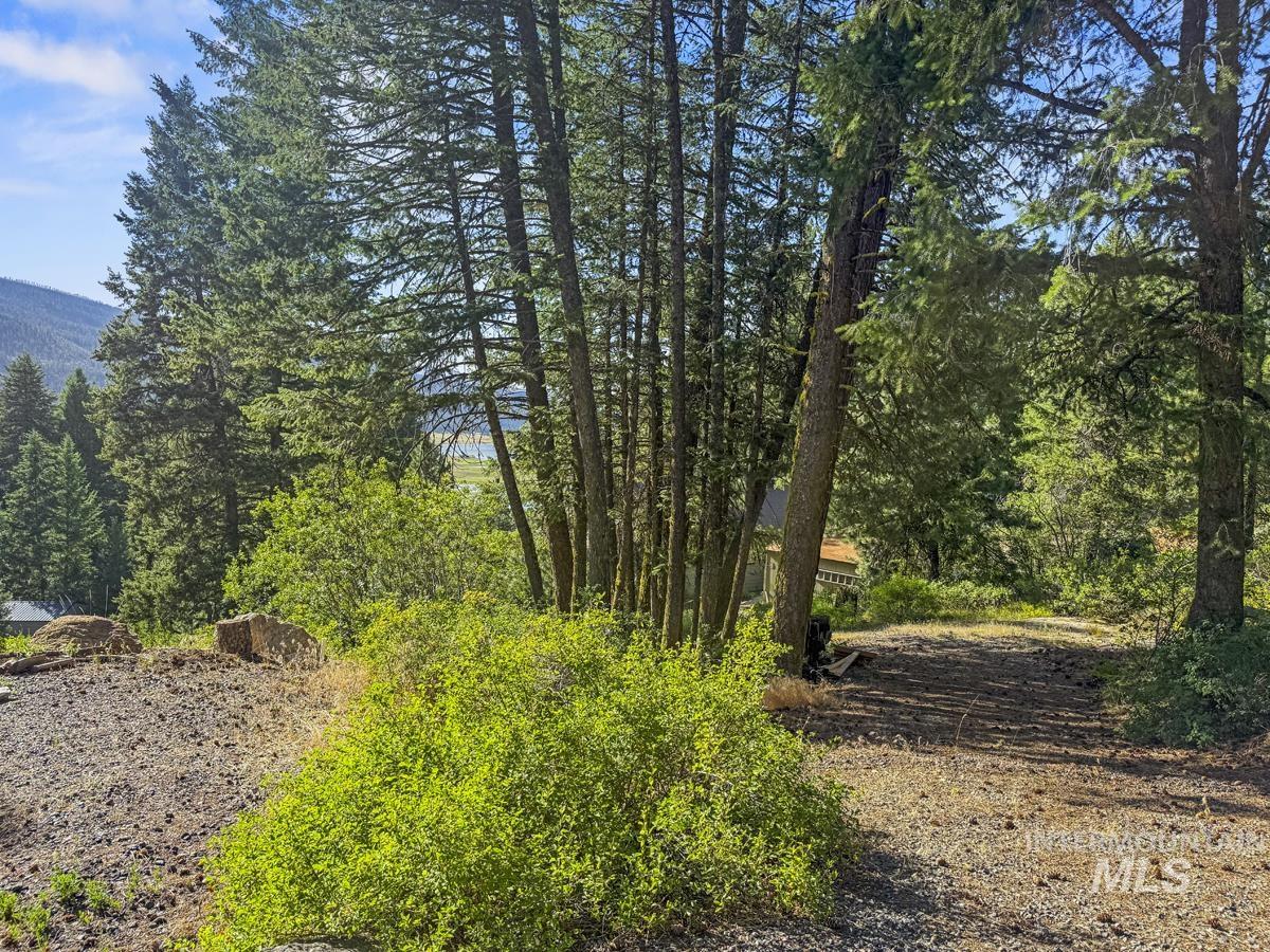 507 Collier View Road, Donnelly, Idaho 83611, Land For Sale, Price $139,000,MLS 98995053