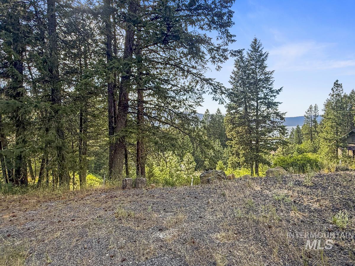 507 Collier View Road, Donnelly, Idaho 83611, Land For Sale, Price $139,000,MLS 98995053