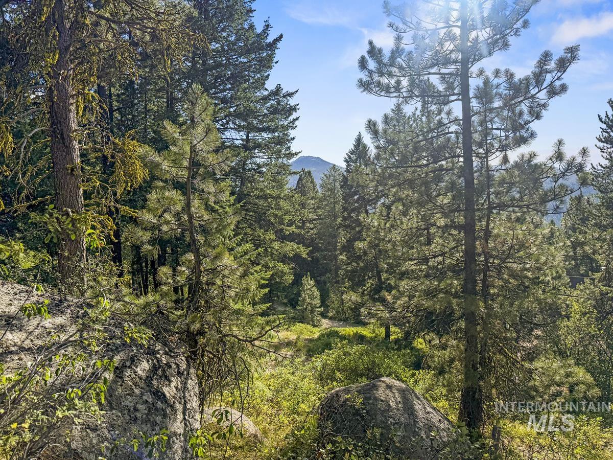 507 Collier View Road, Donnelly, Idaho 83611, Land For Sale, Price $139,000,MLS 98995053