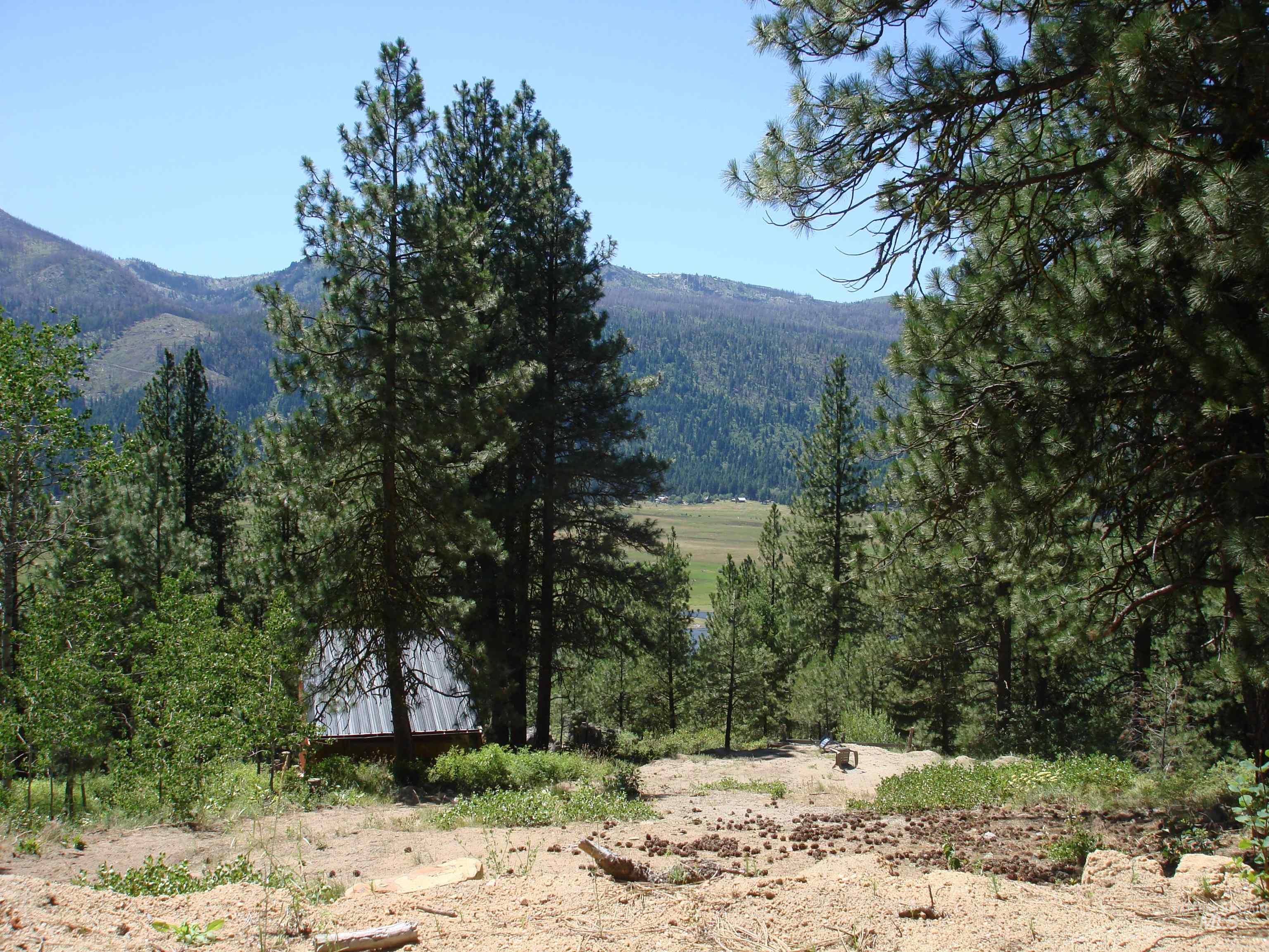 464 Collier View Road, Cascade, Idaho 83611, Land For Sale, Price $207,000,MLS 98995077
