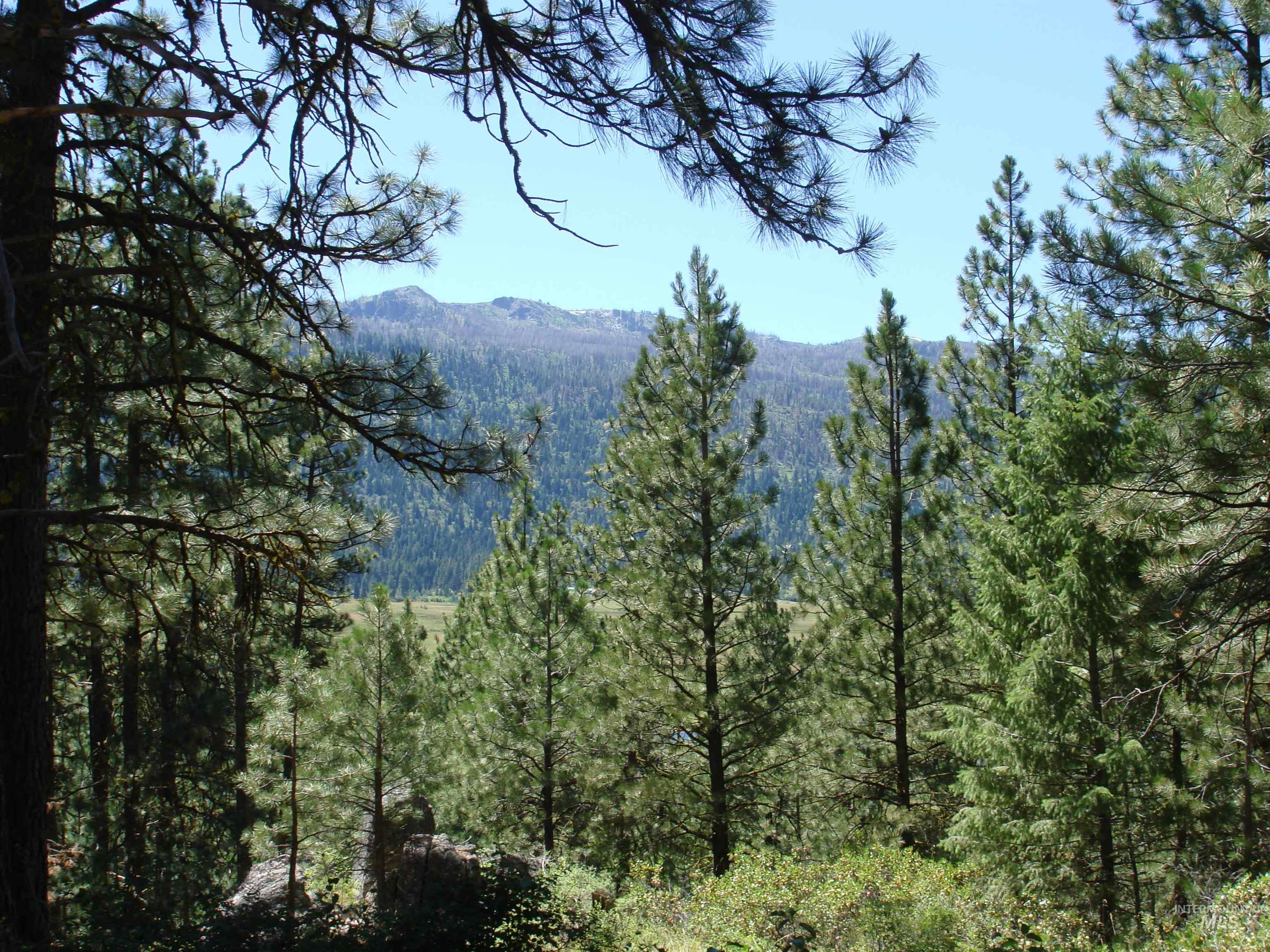 464 Collier View Road, Cascade, Idaho 83611, Land For Sale, Price $207,000,MLS 98995077