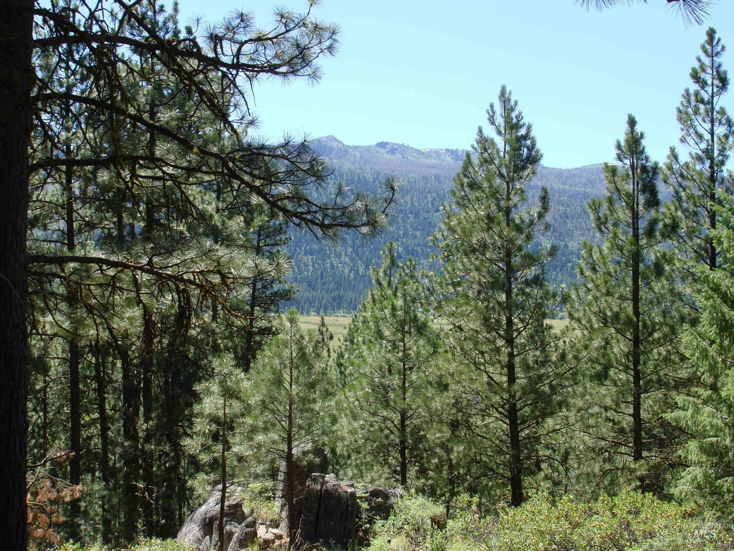 464 Collier View Road, Cascade, Idaho 83611, Land For Sale, Price $207,000,MLS 98995077