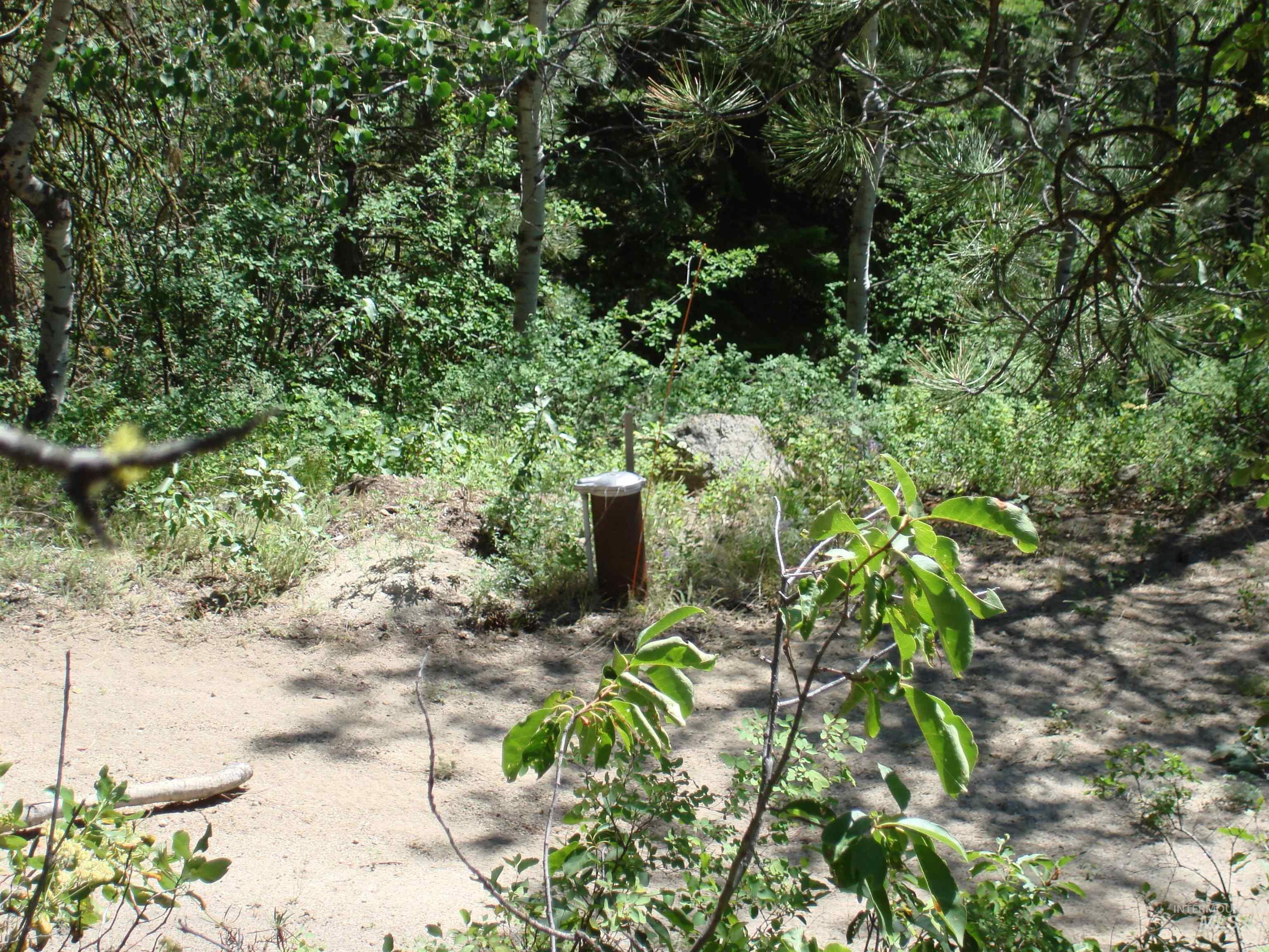464 Collier View Road, Cascade, Idaho 83611, Land For Sale, Price $207,000,MLS 98995077