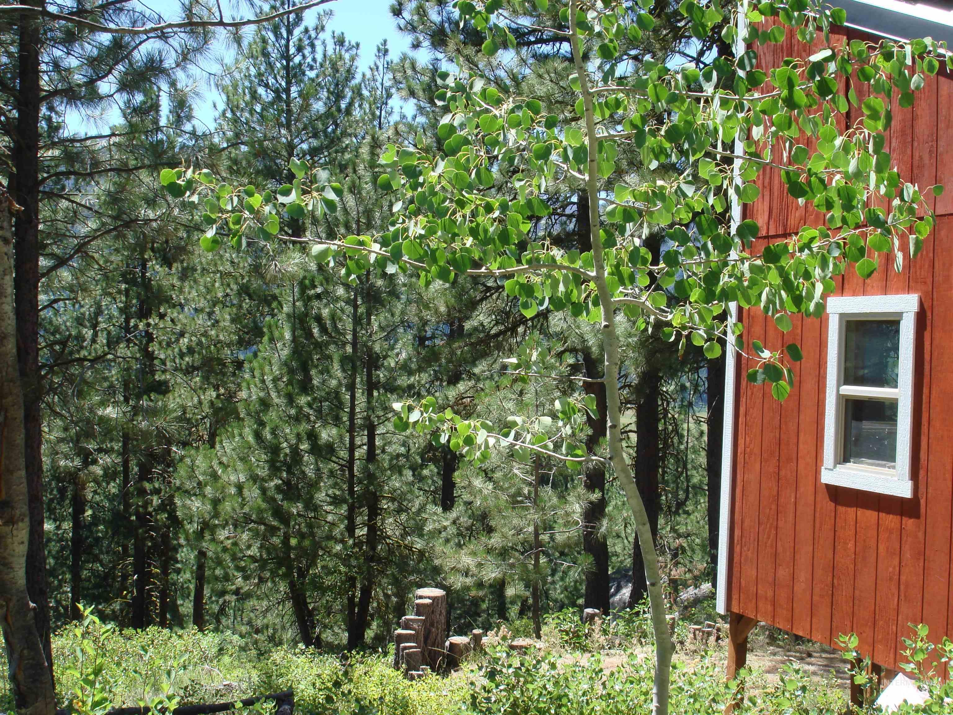 464 Collier View Road, Cascade, Idaho 83611, Land For Sale, Price $207,000,MLS 98995077