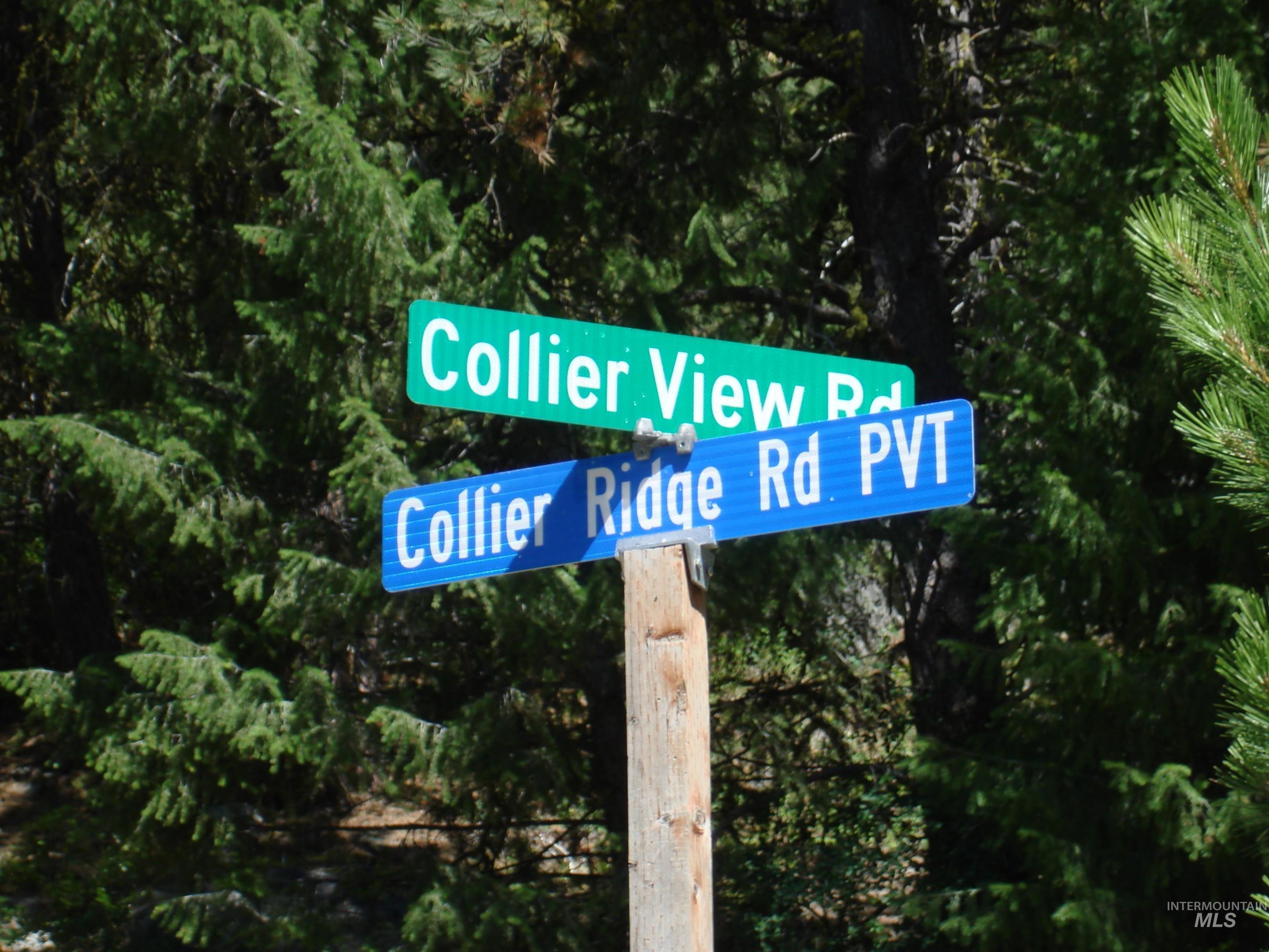 464 Collier View Road, Cascade, Idaho 83611, Land For Sale, Price $207,000,MLS 98995077