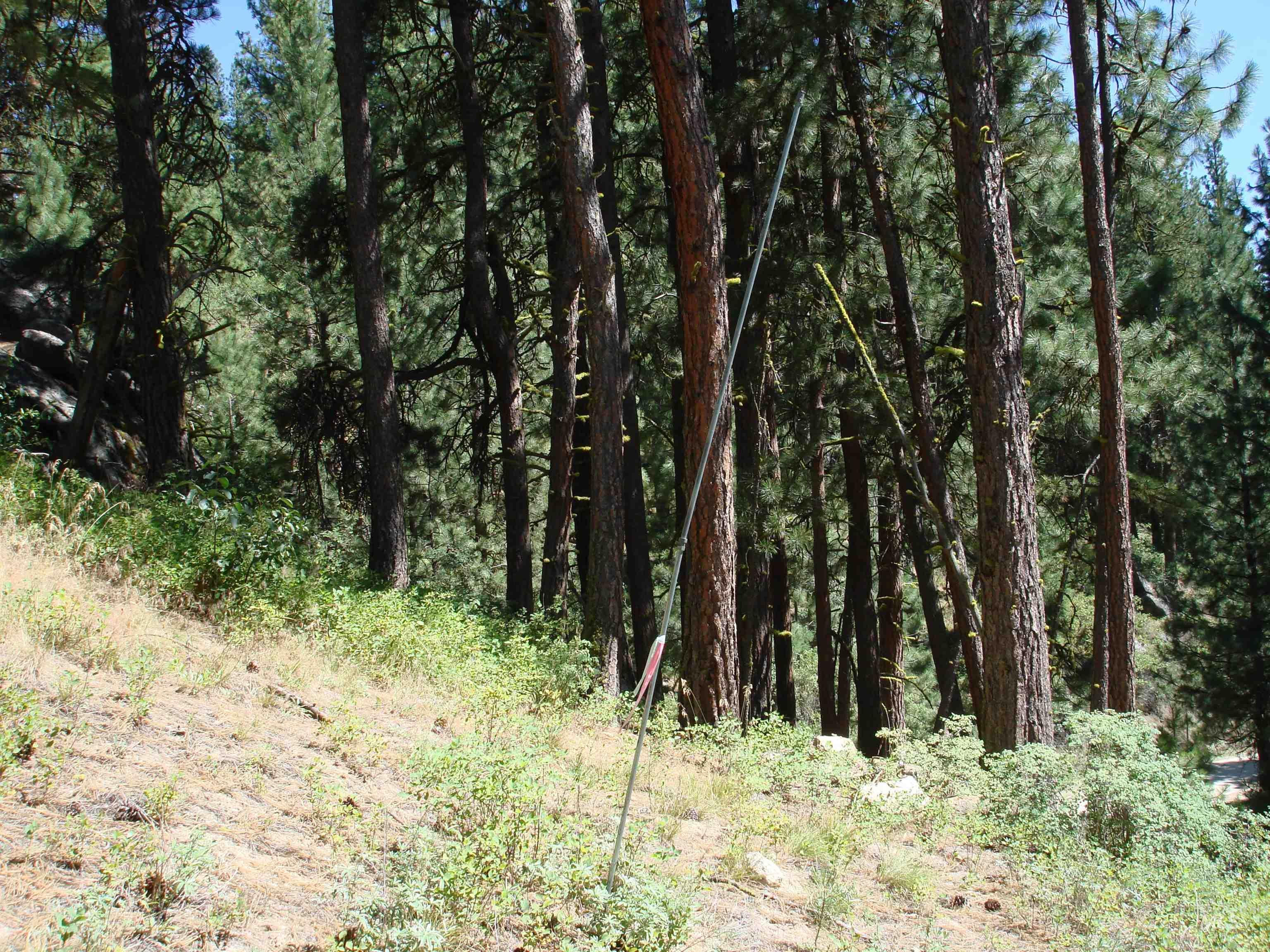464 Collier View Road, Cascade, Idaho 83611, Land For Sale, Price $207,000,MLS 98995077