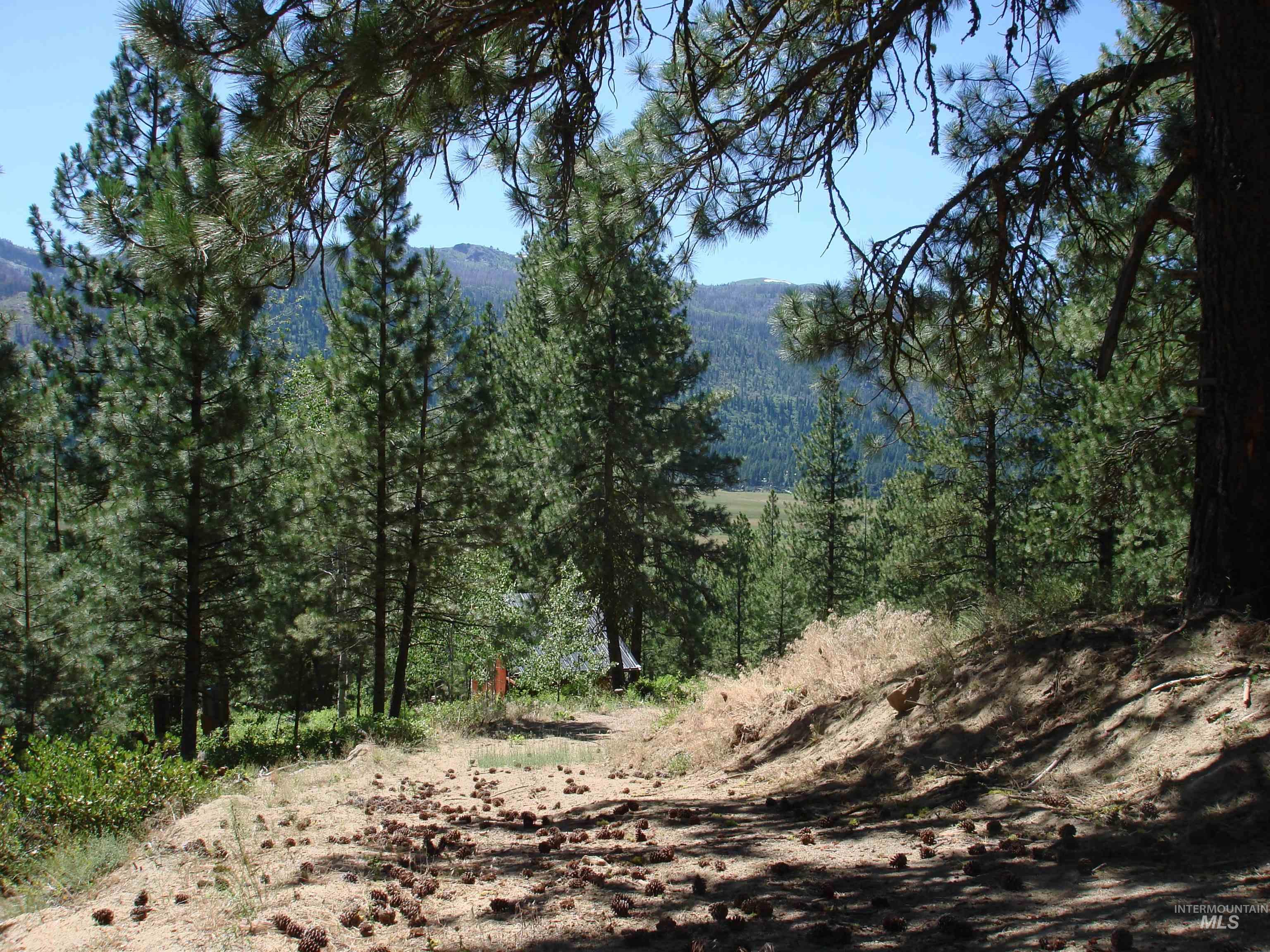 464 Collier View Road, Cascade, Idaho 83611, Land For Sale, Price $207,000,MLS 98995077