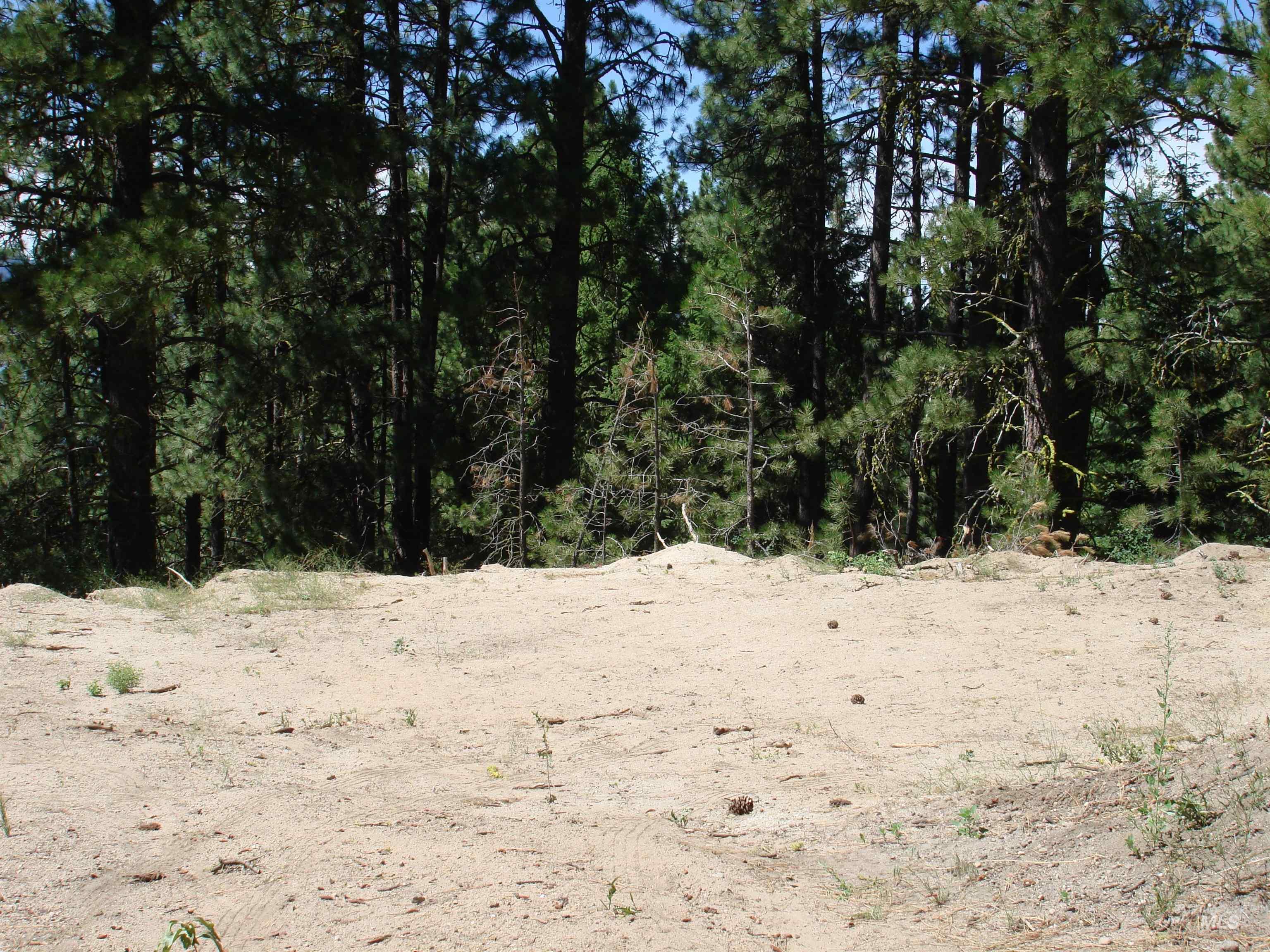 464 Collier View Road, Cascade, Idaho 83611, Land For Sale, Price $207,000,MLS 98995077
