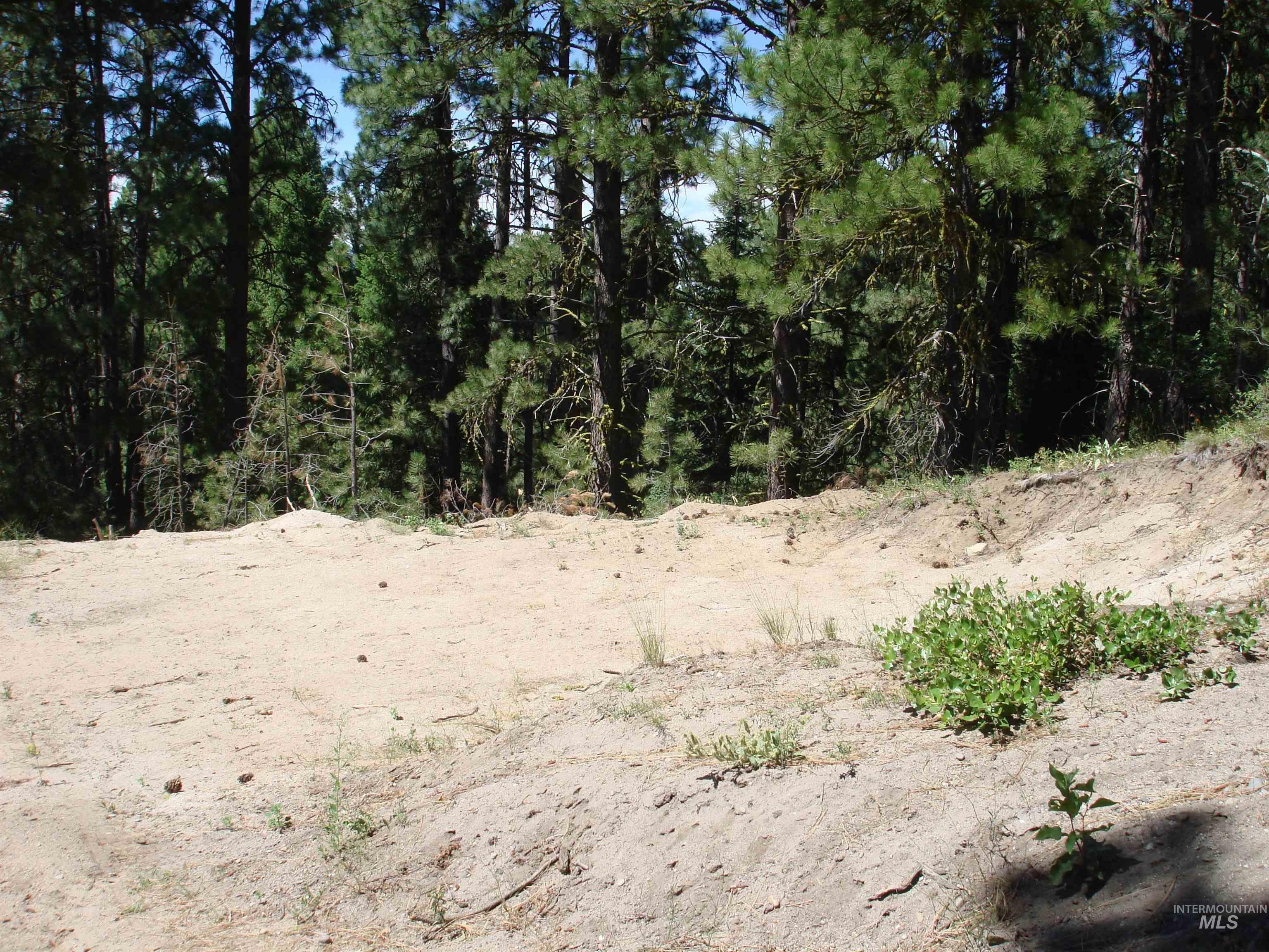 464 Collier View Road, Cascade, Idaho 83611, Land For Sale, Price $207,000,MLS 98995077