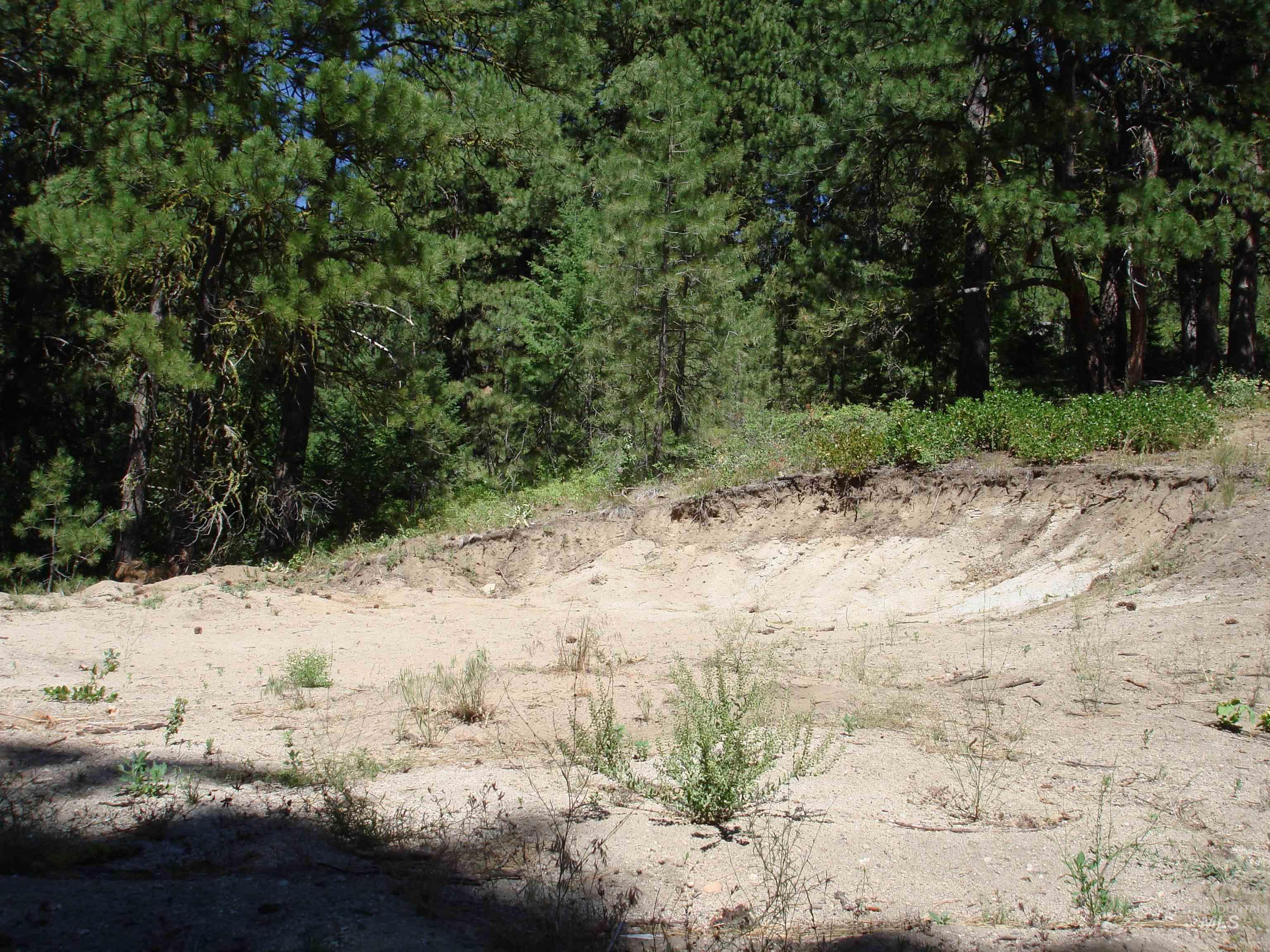 464 Collier View Road, Cascade, Idaho 83611, Land For Sale, Price $207,000,MLS 98995077