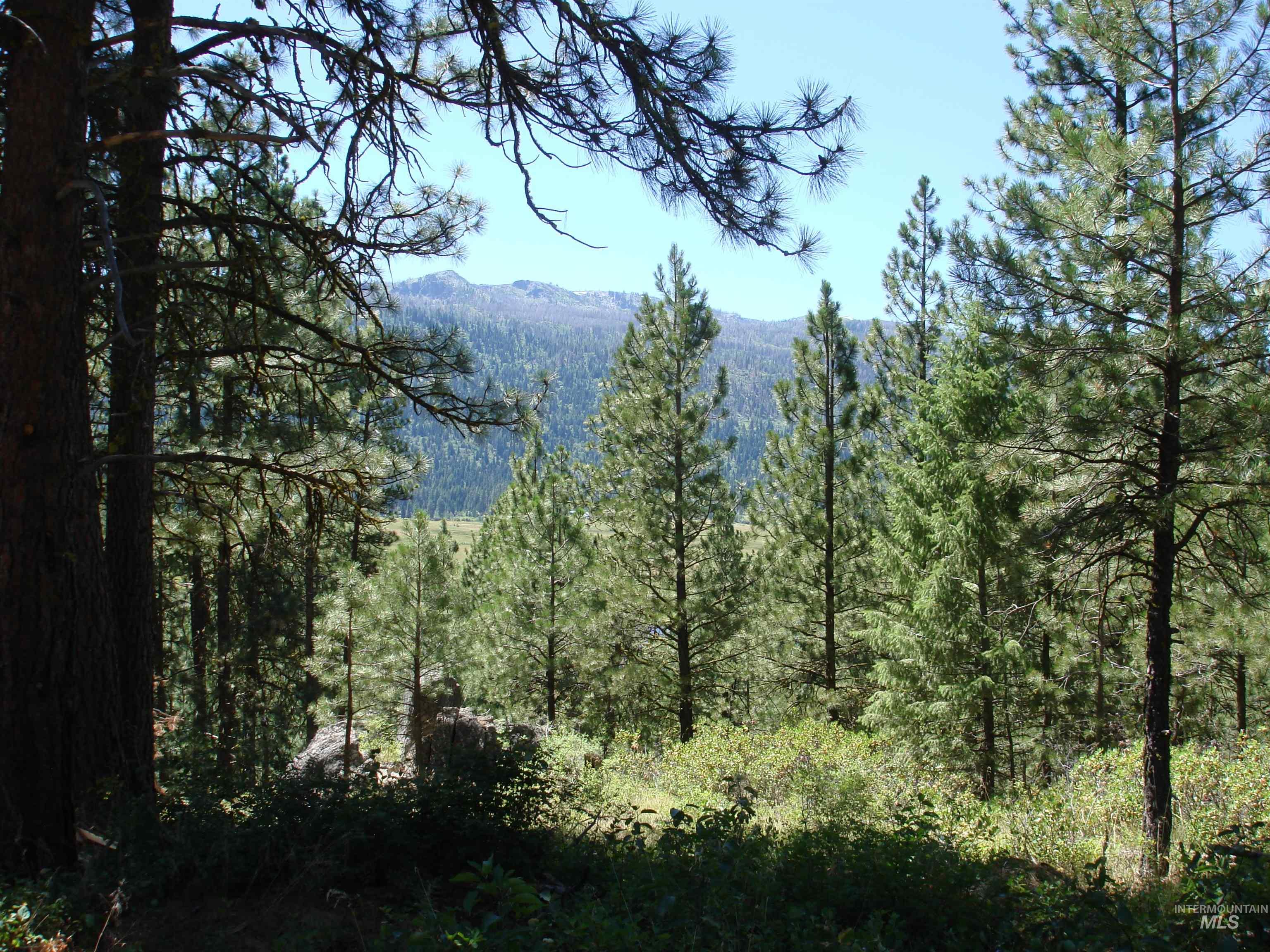 464 Collier View Road, Cascade, Idaho 83611, Land For Sale, Price $207,000,MLS 98995077