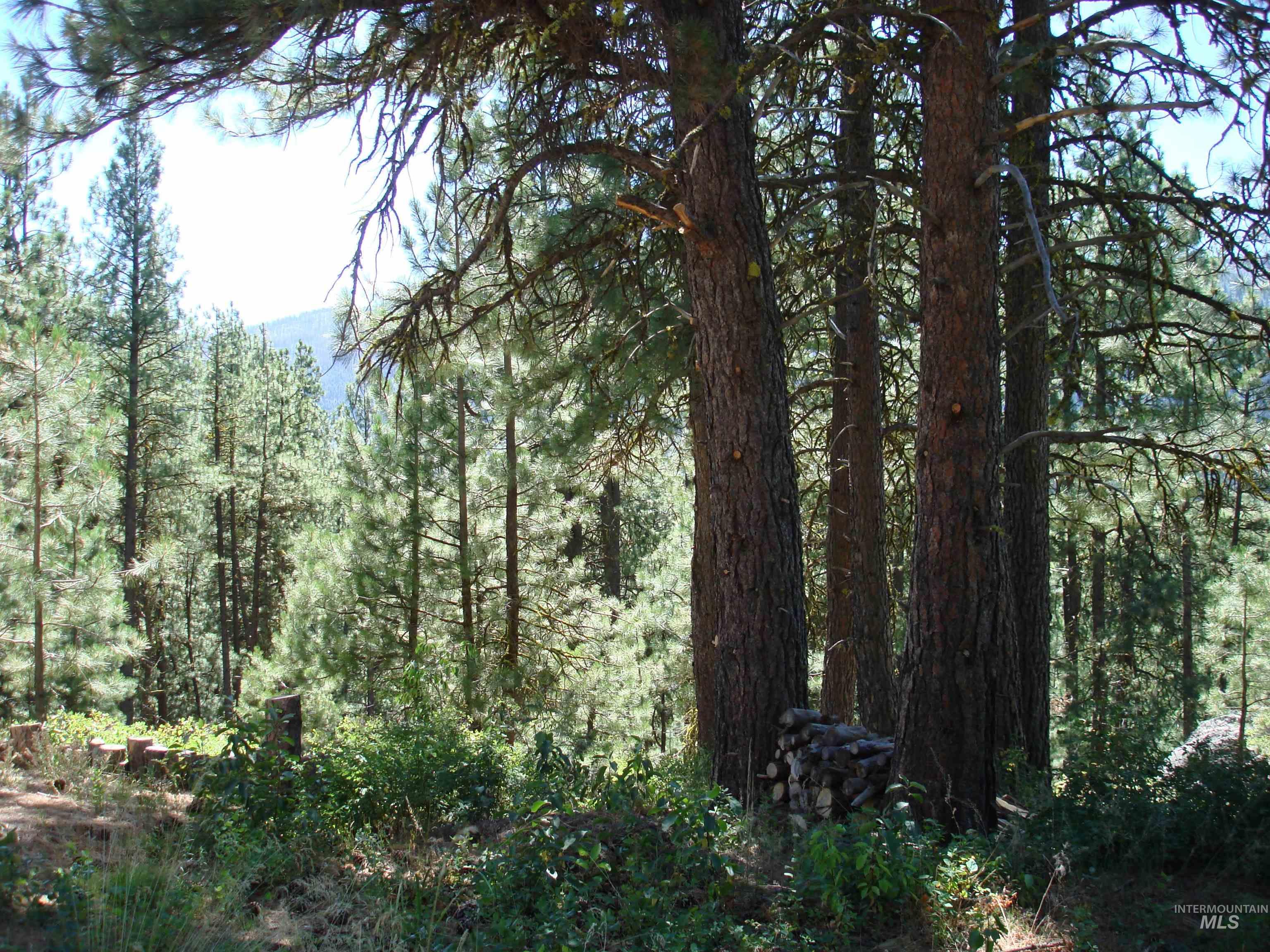 464 Collier View Road, Cascade, Idaho 83611, Land For Sale, Price $207,000,MLS 98995077