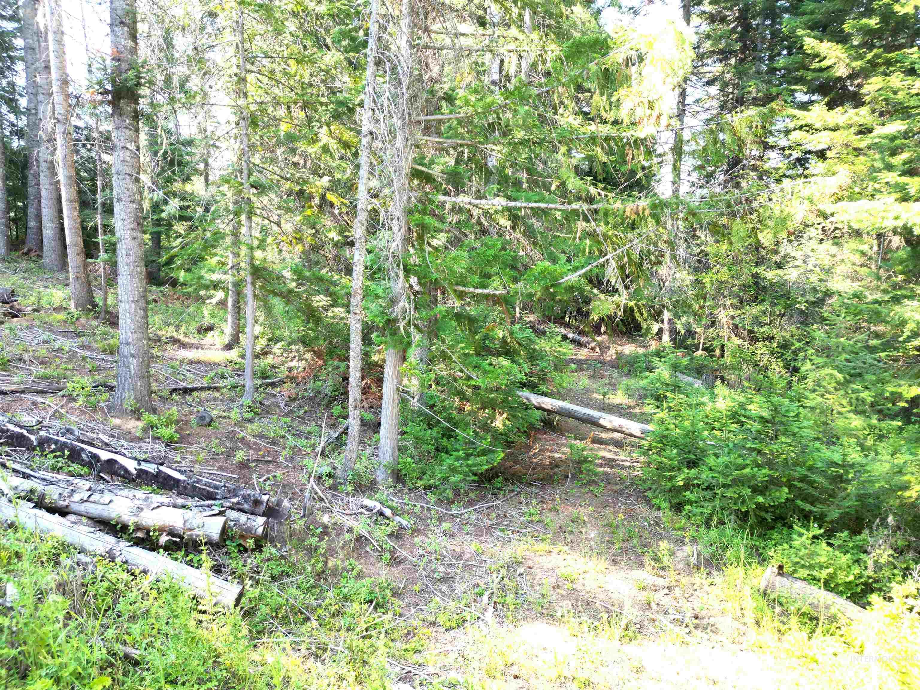 23 Aitken Road, Weippe, Idaho 83553, Land For Sale, Price $150,000,MLS 98995078