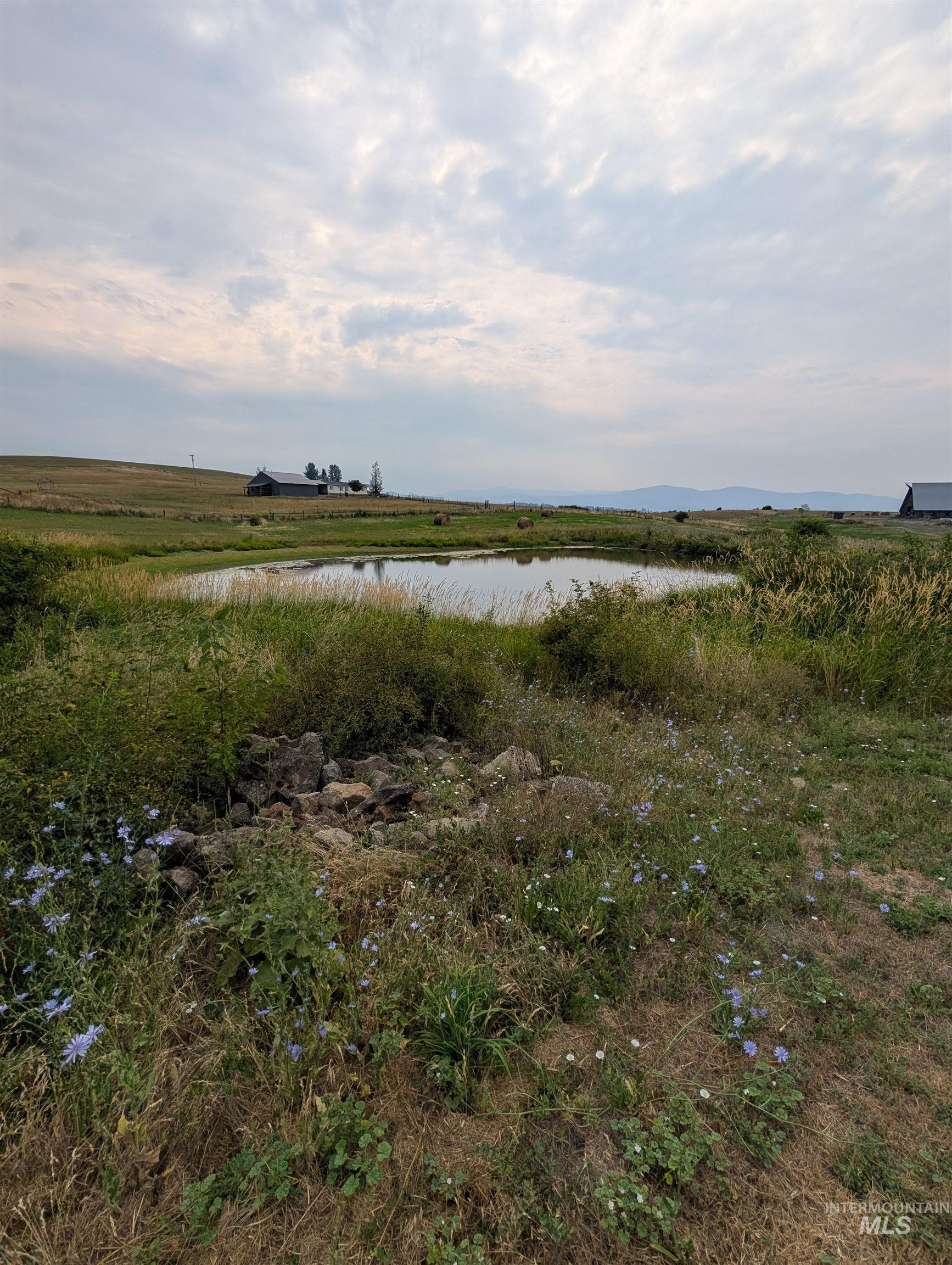 266 Trenary Road, Kooskia, Idaho 83539, 7 Bedrooms, 2 Bathrooms, Residential For Sale, Price $425,000, 98995086