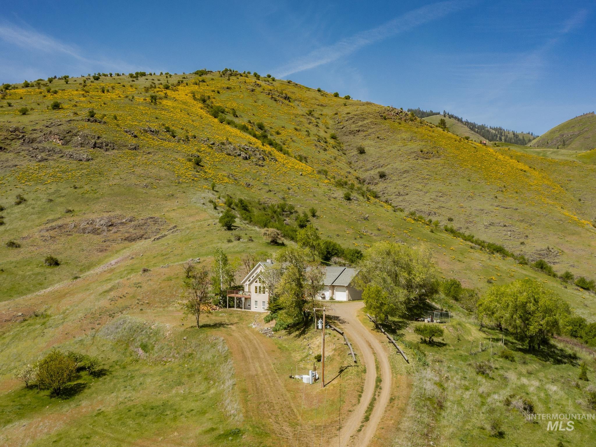 160 Buckhorn Road, White Bird, Idaho 83554, 3 Bedrooms, 3 Bathrooms, Residential For Sale, Price $595,000,MLS 98995103