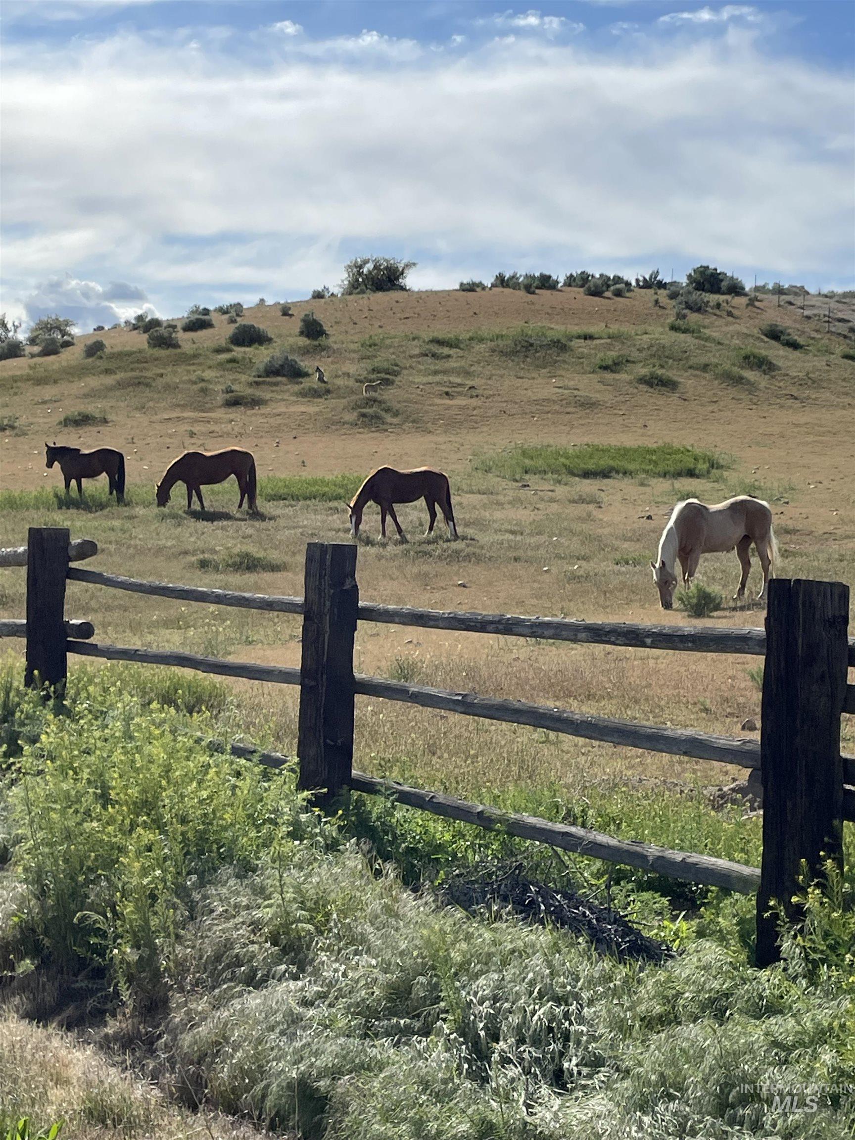 4393 N Pollard Ln, Star, Idaho 83669, 4 Bedrooms, 2.5 Bathrooms, Residential For Sale, Price $2,250,000,MLS 98995160
