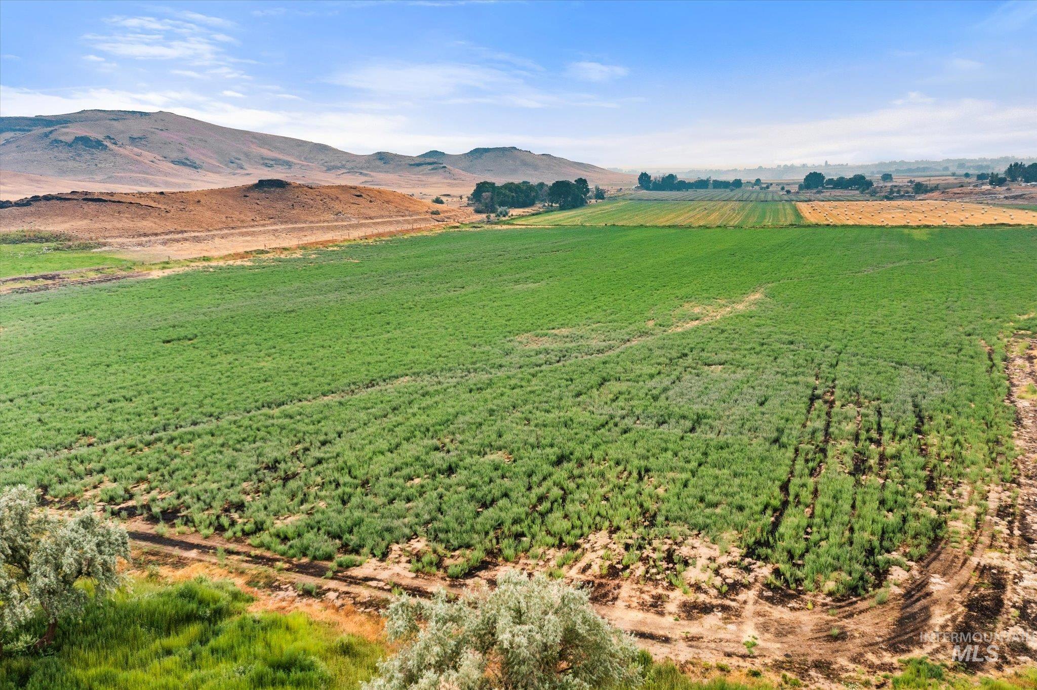 2283 Canyon Rd S, Melba, Idaho 83641, 3 Bedrooms, 2 Bathrooms, Farm & Ranch For Sale, Price $1,595,000,MLS 98995195